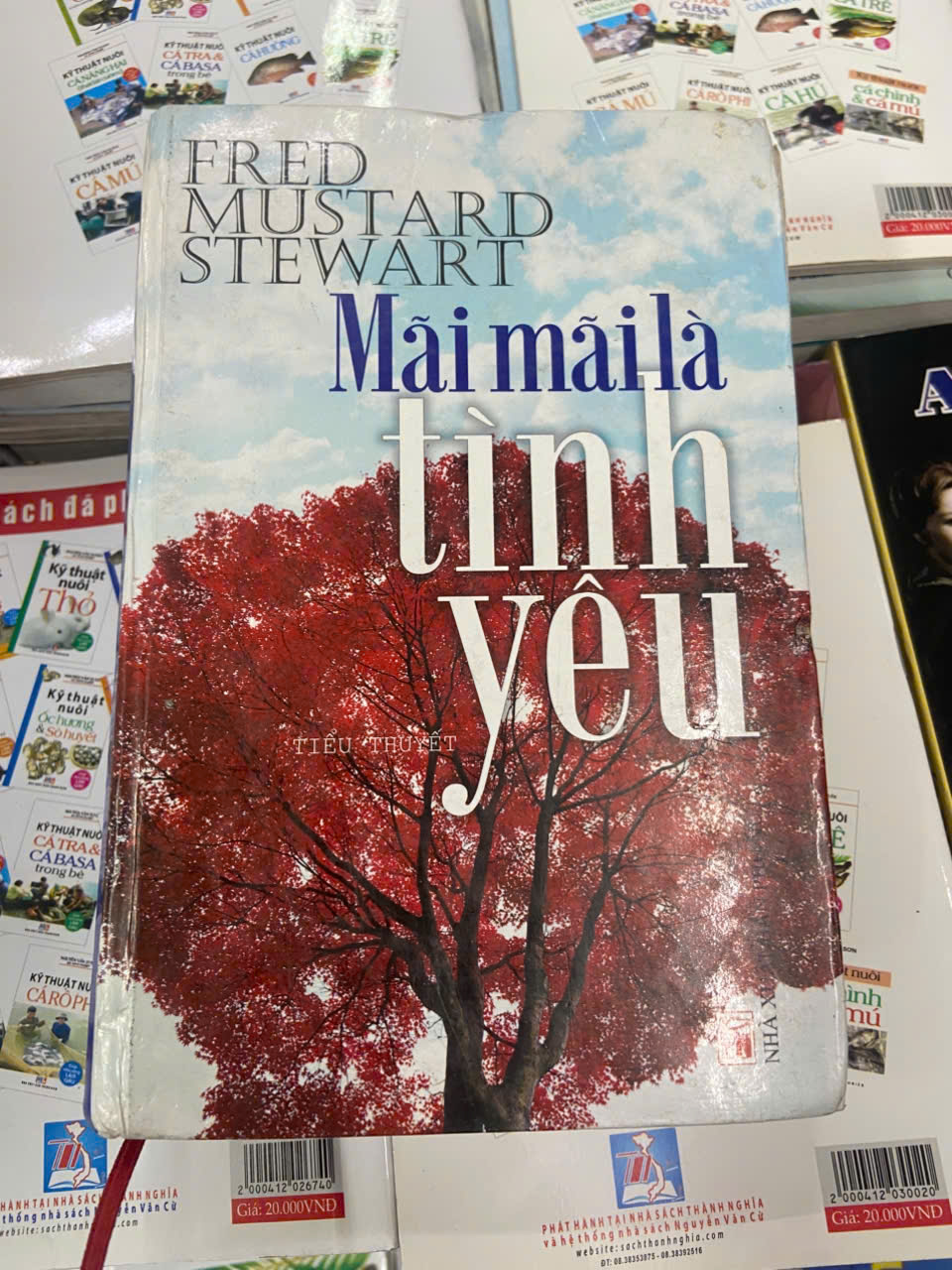 Mãi mãi là tình yêu - Fred Mustard Stewart Sách văn học VAVO1004