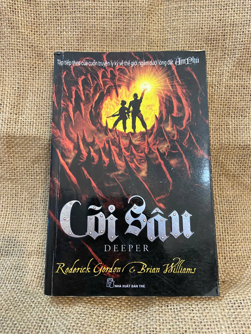 Cõi sâu - Goderick Golden, Brian Williams 2012 mới 90% có chữ ký của chủ sở hữu cũ Văn học nước ngoài NSX1004