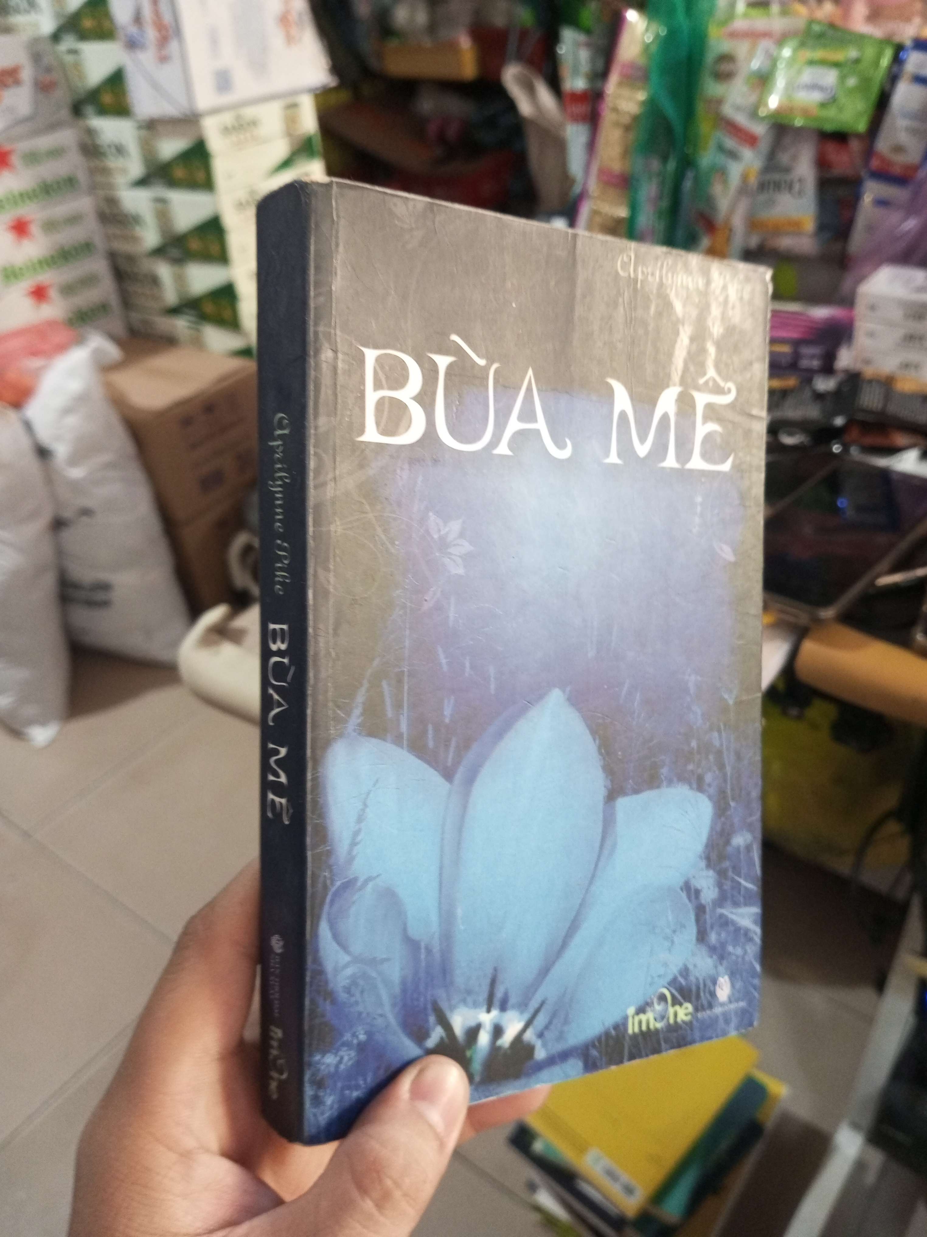 Bùa Mê - Aprilynne Pike 2010 mới 80% ố Tiểu Thuyết HCM1004 (NSX)
