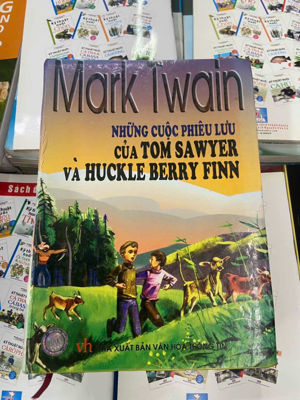 Những cuộc phiêu lưu của Tom Sawyer và Huckle Berry Finn - Mark Twain Văn học nước ngoài VAVO1004