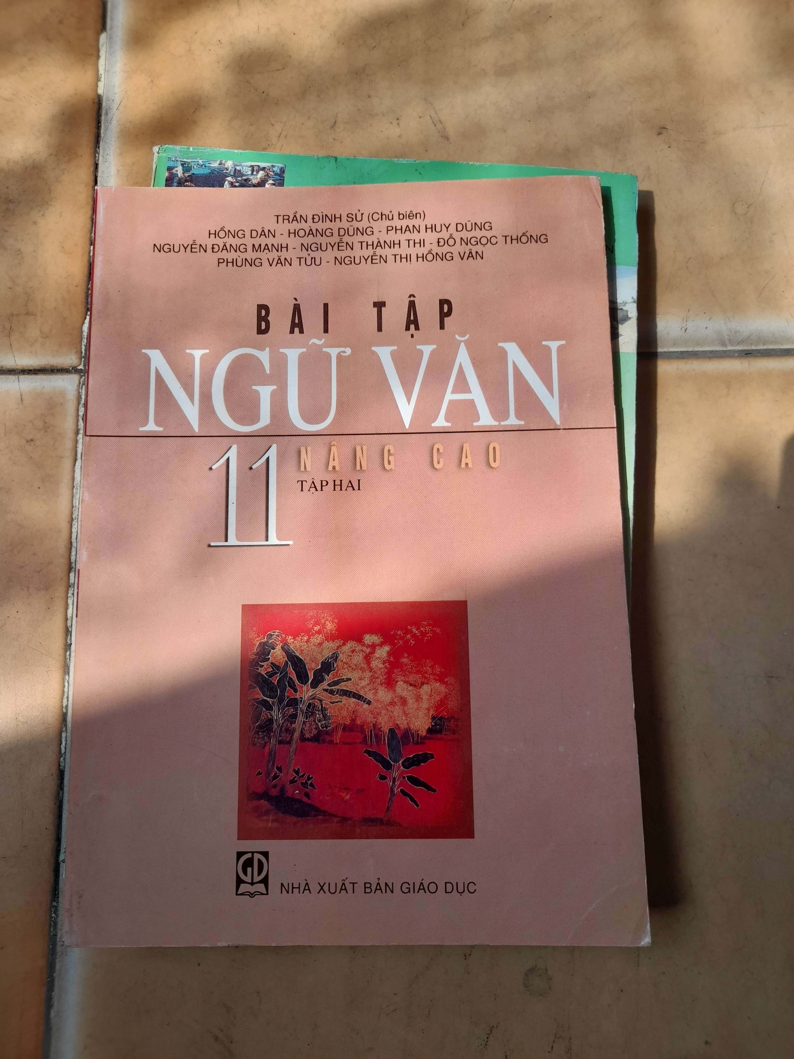 Bài Tập Ngữ Văn 11 (Nâng Cao, Tập 2) - Trần Đình Sử, Hồng Dân, Hoàng Dũng, Phan Huy Dũng, Nguyễn Đăng Mạnh, Nguyễn Thanh Thị, Đỗ Ngọc Thống, Phùng Văn Tửu, Nguyễn Thị Hồng Vân 2008 (Tham khảo - luyện thi) VAVO1304-AK3T3