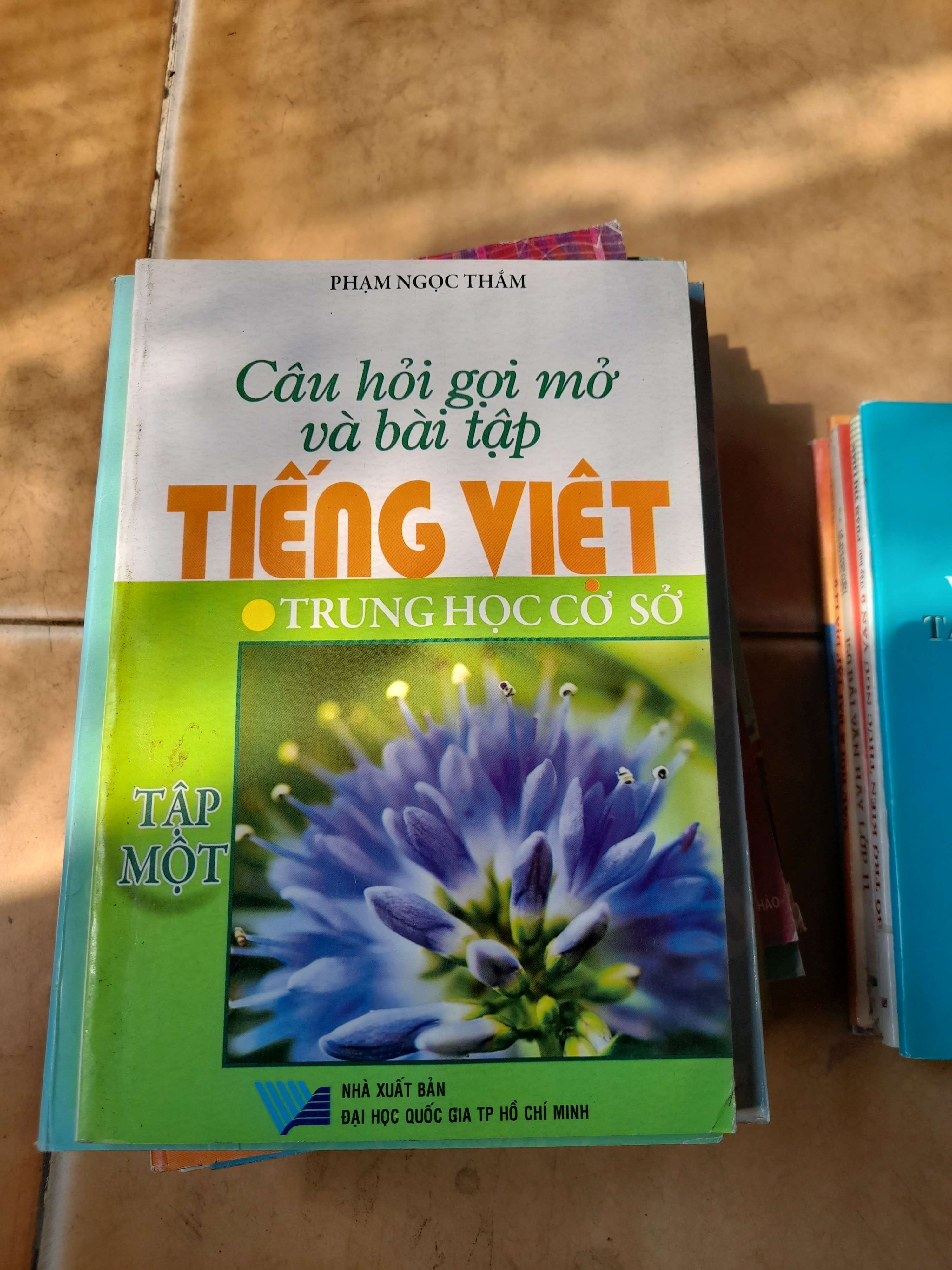 Câu Hỏi Gợi Mở Và Bài Tập Tiếng Việt (Trung Học Cơ Sở, Tập 1) - Phạm Ngọc Thắm 2007 (Tham khảo - luyện thi) VAVO1304-AK3T3