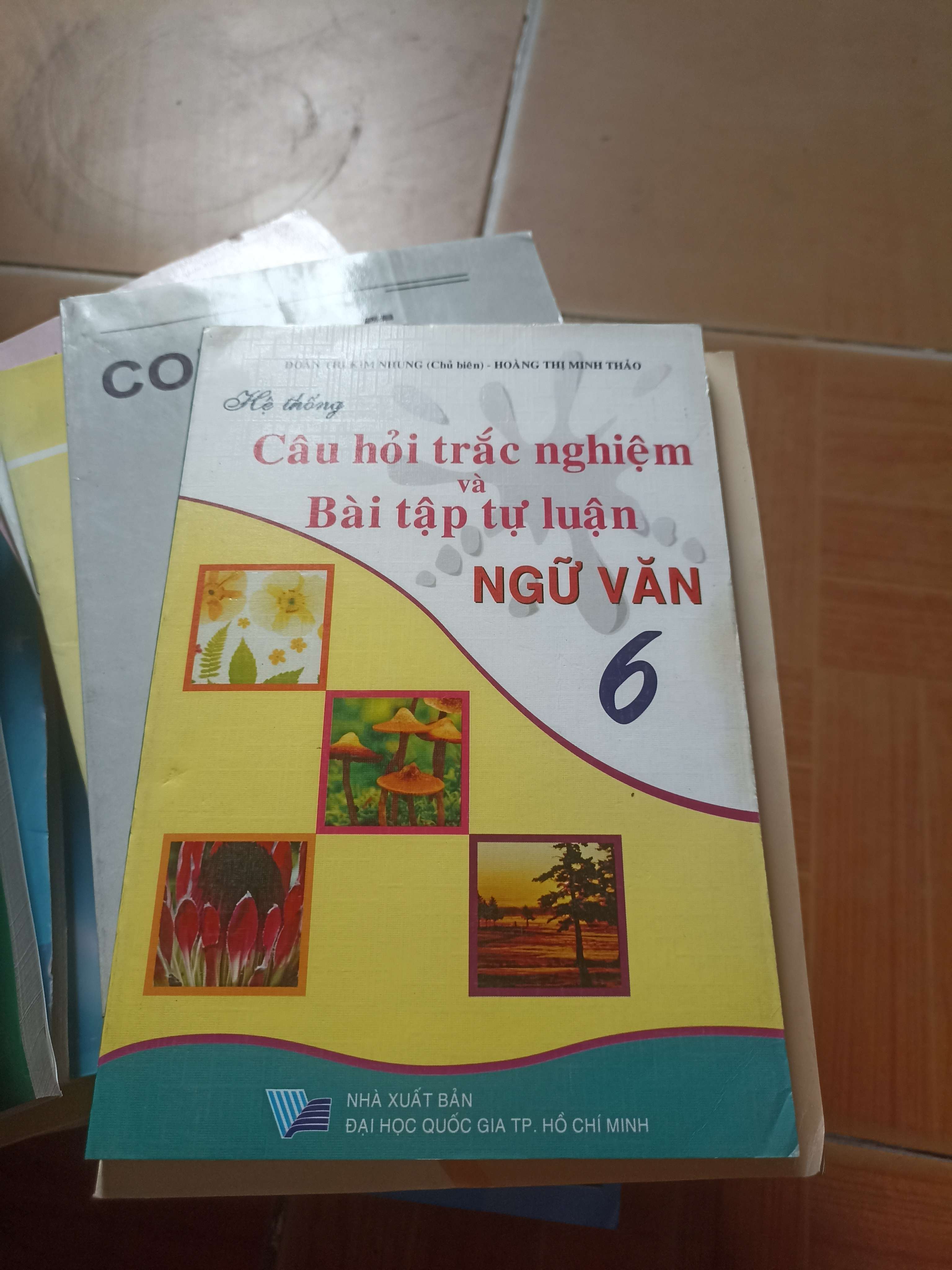 Câu hỏi trắc nghiệm và bài tập tự luận ngữ văn 6 - Kim Nhung 2007 (Tham khảo - luyện thi) VAVO1304-AK3ST3