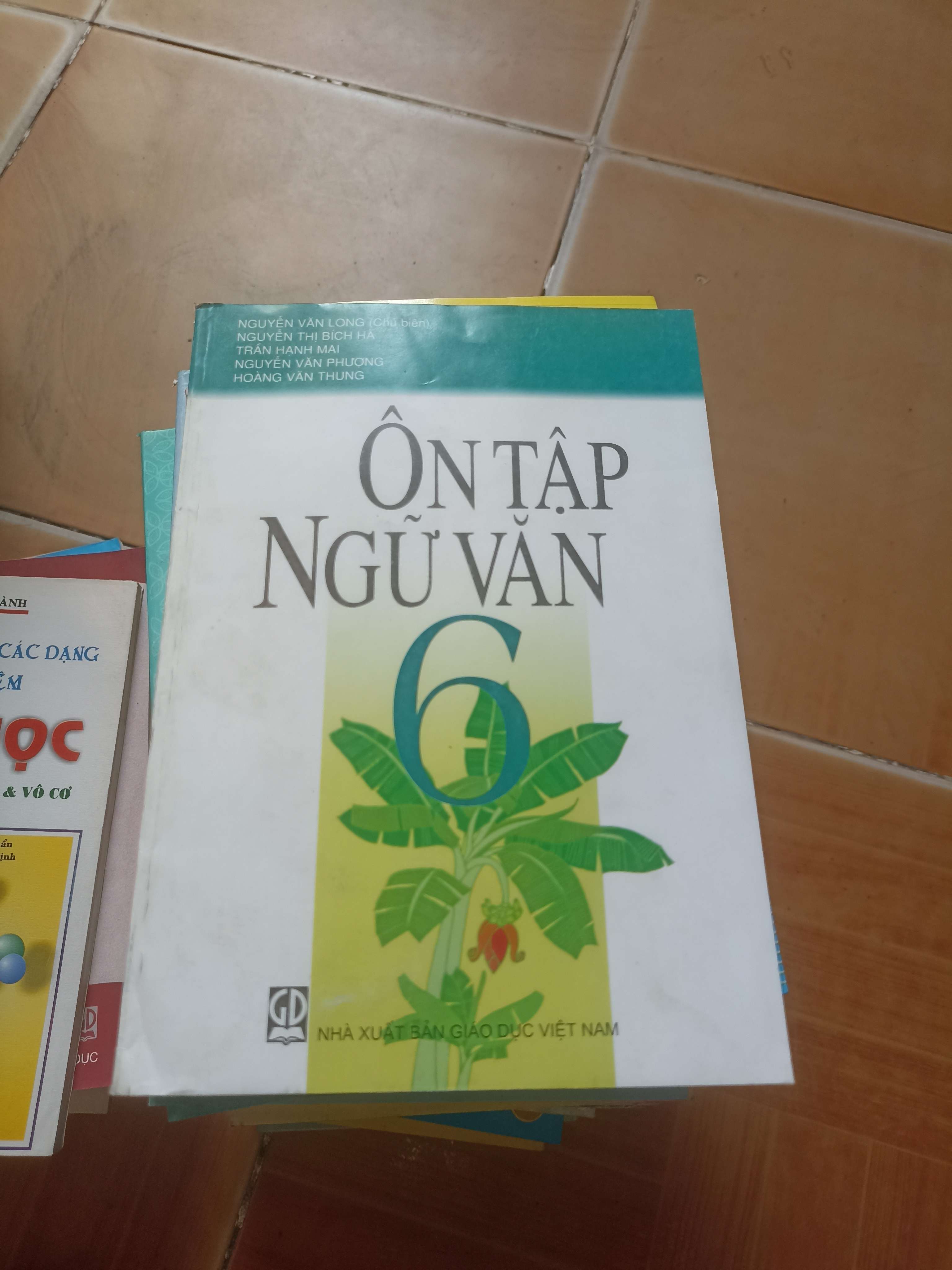 Ôn tập ngữ văn 6 - Hạnh Mai 2014 (Tham khảo - luyện thi) VAVO1304-AK3ST2