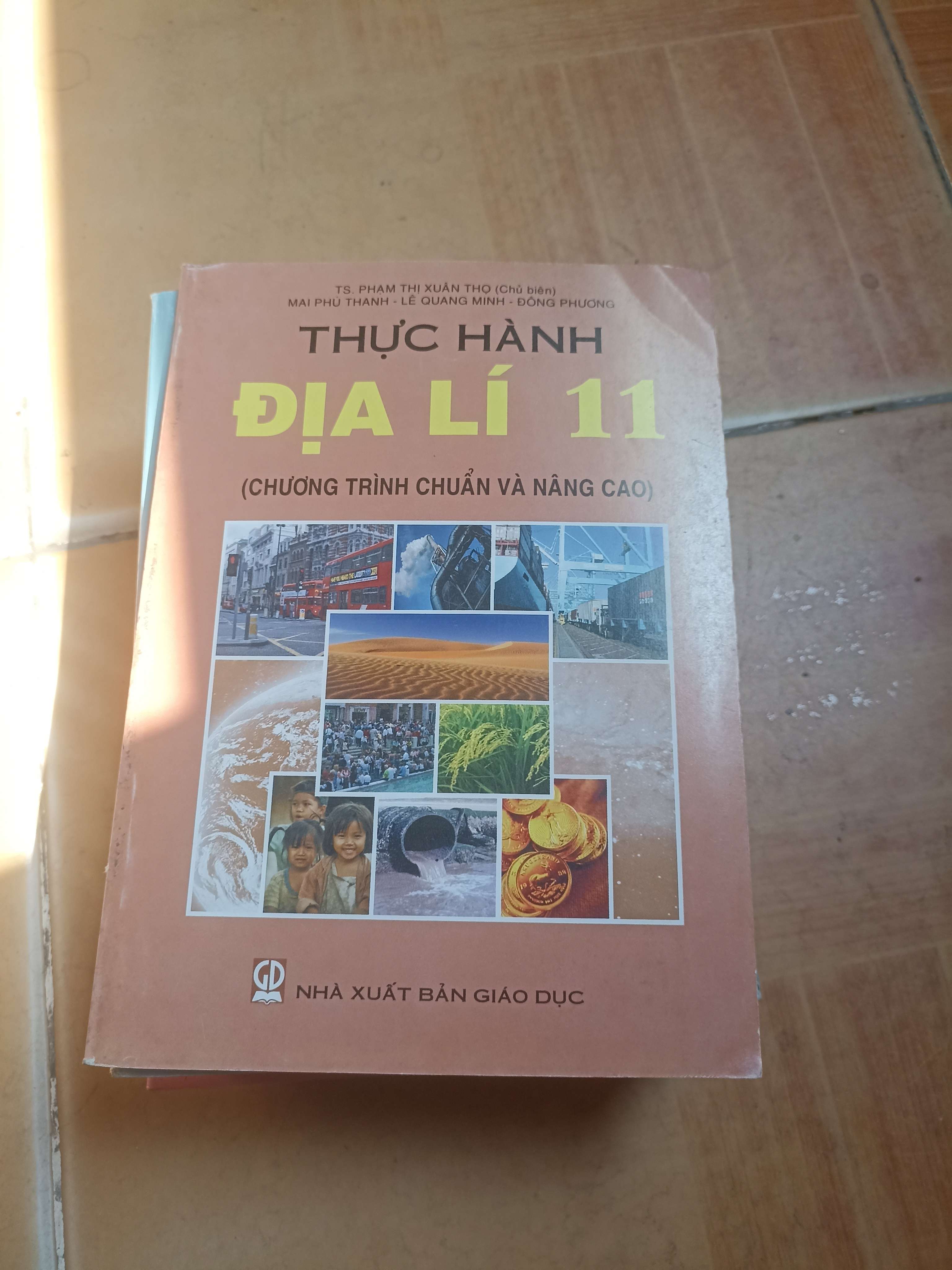 Thực Hành Địa Lí 11 – Phạm Thị Xuân Thọ, Mai Phú Thanh, Lê Quang Minh, Đông Phương 2007 (Giáo khoa) VAVO1304-AK3ST2