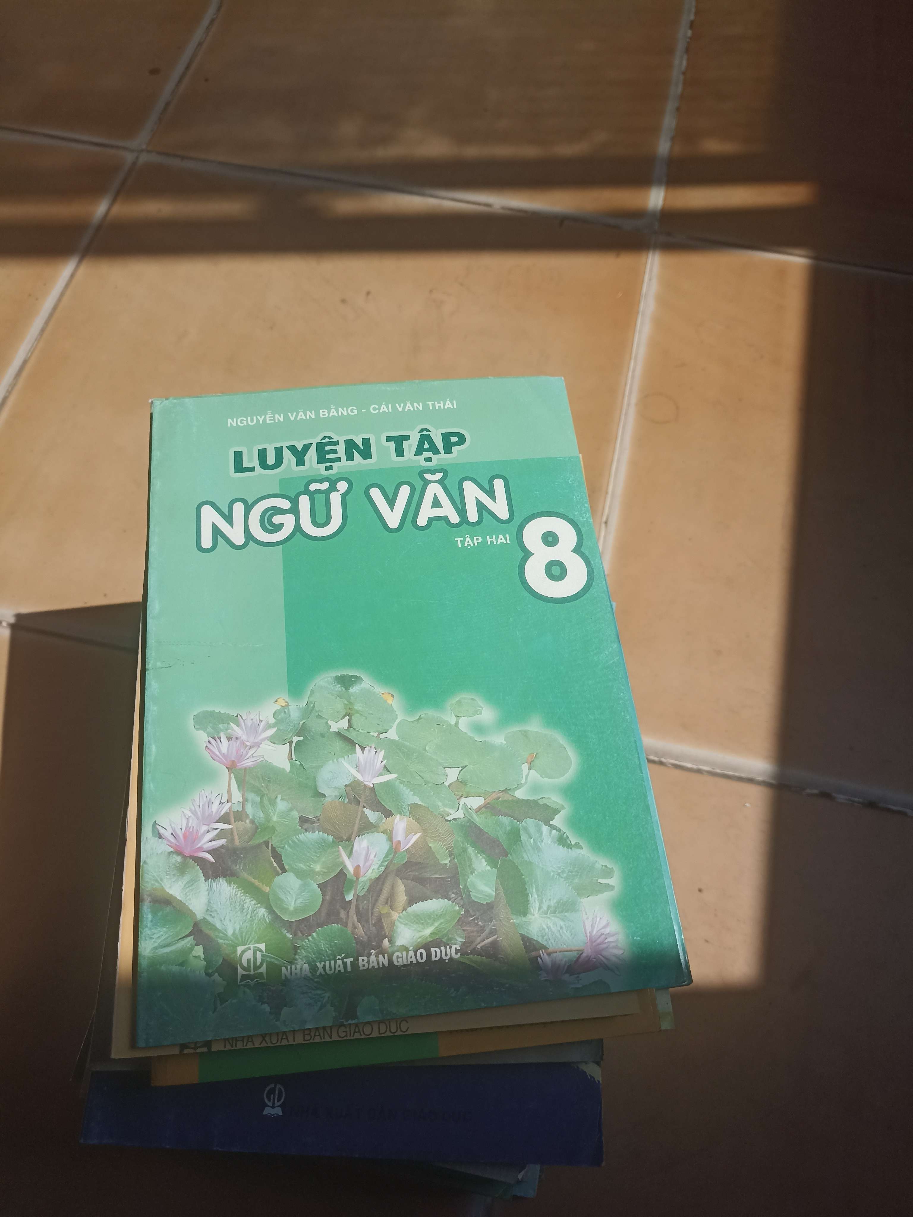 Luyện Tập Ngữ Văn 8 (Tập 2) – Nguyễn Văn Bảng, Cái Văn Thái 2006 (Giáo khoa) VAVO1304-AK3ST2