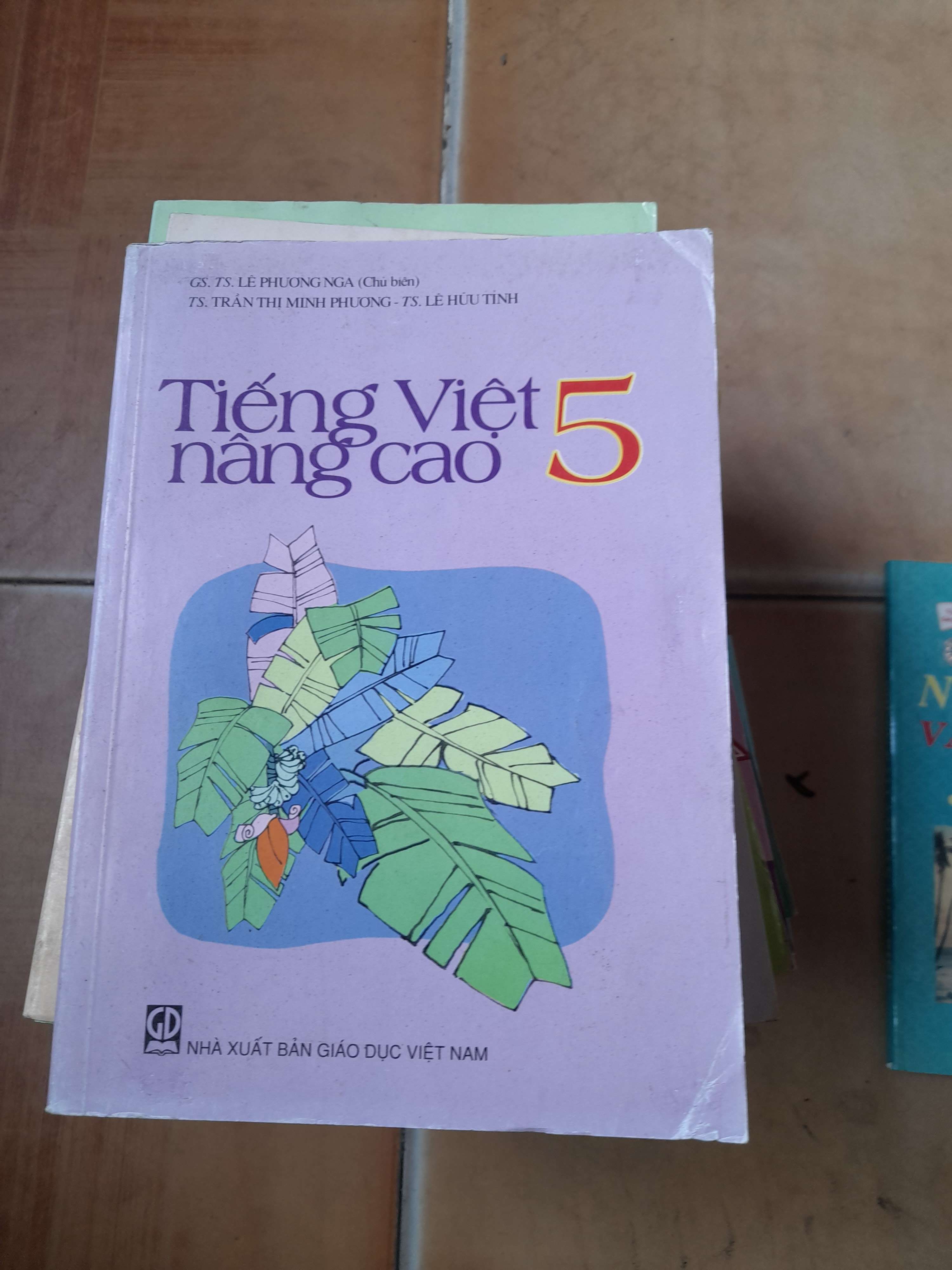 Tiếng Việt Nâng Cao 5 - Lê Phương Nga, Trần Thị Minh Phương, Lê Hữu Tỉnh 2012 (Tham khảo - luyện thi) VAVO1304-AK3ST1