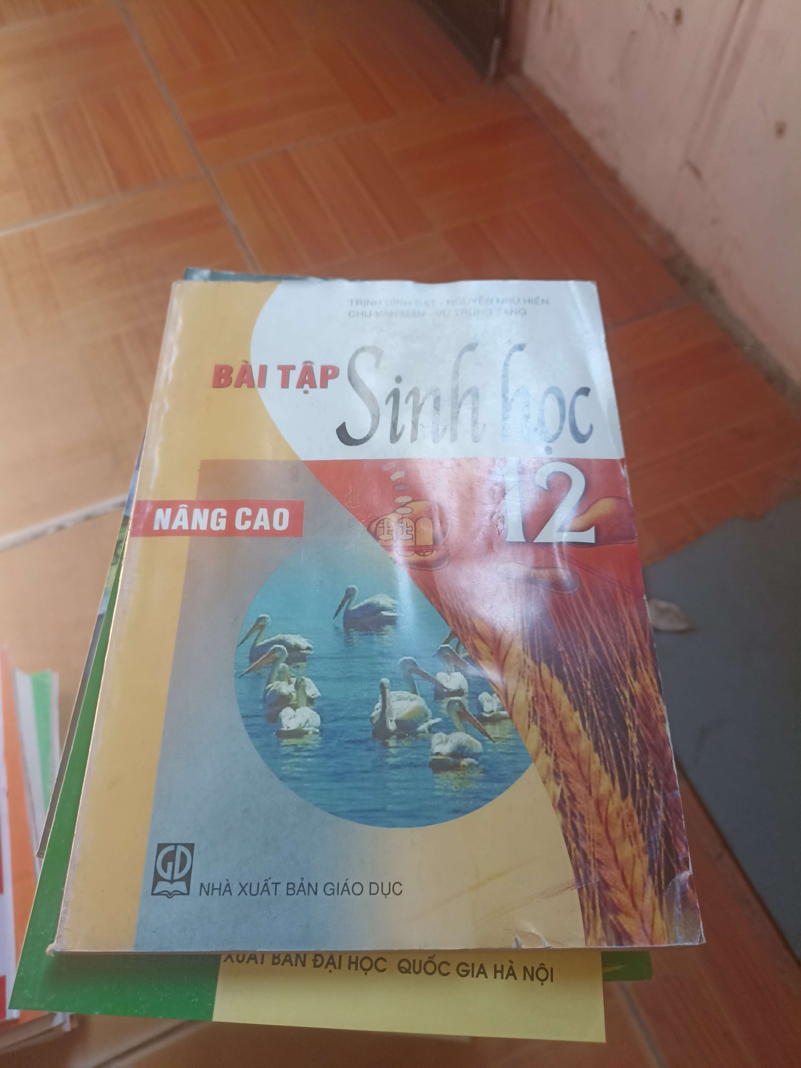 Bài tập sinh học 12 nâng cao 2008 (Giáo khoa) VAVO1304-AK3ST3