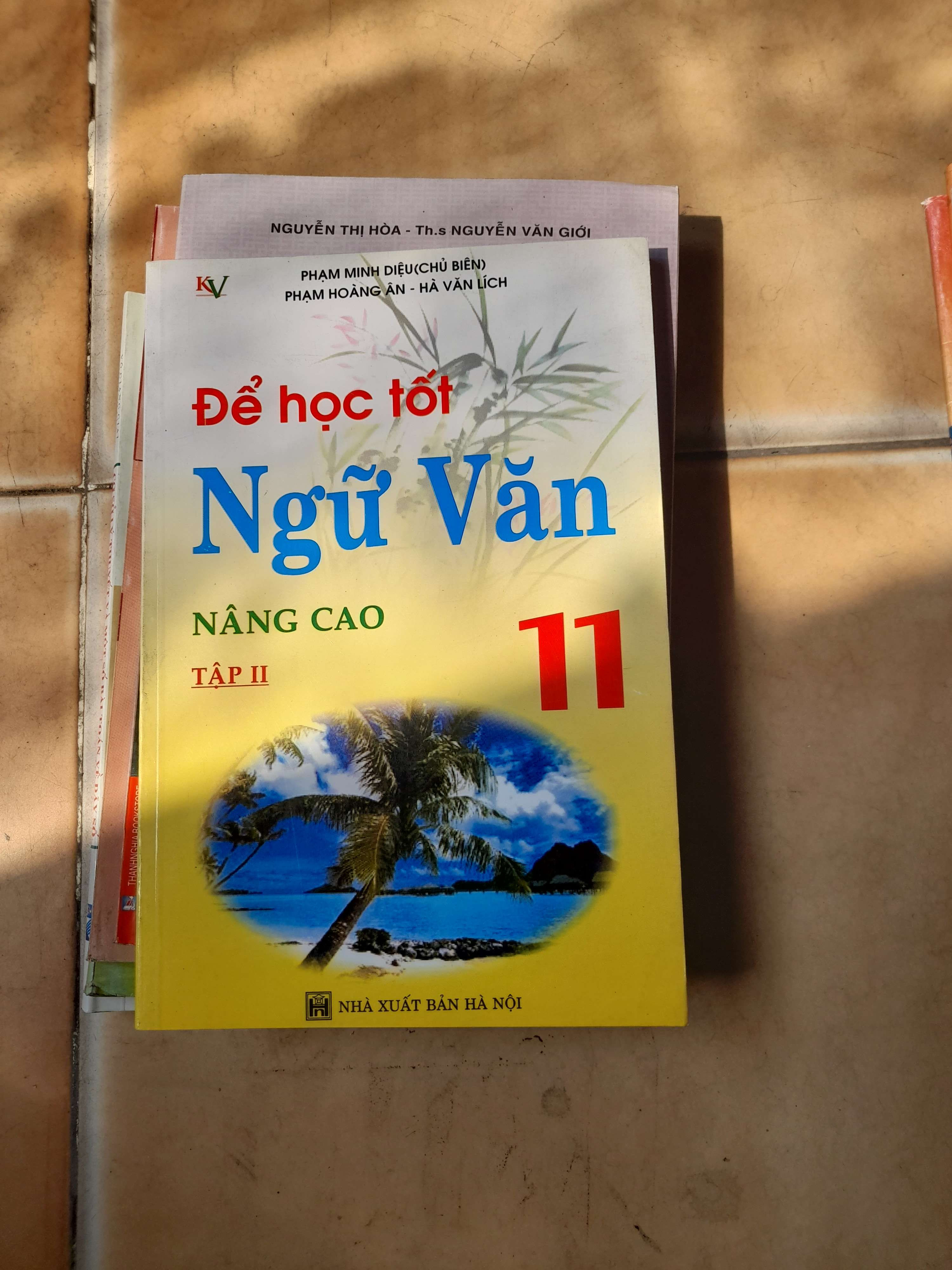 Để Học Tốt Ngữ Văn Nâng Cao 11 (Tập 2) - Phạm Minh Diệu, Phạm Hoàng Ân, Hà Văn Lích 2007 (Tham khảo - luyện thi) VAVO1304-AK3T3