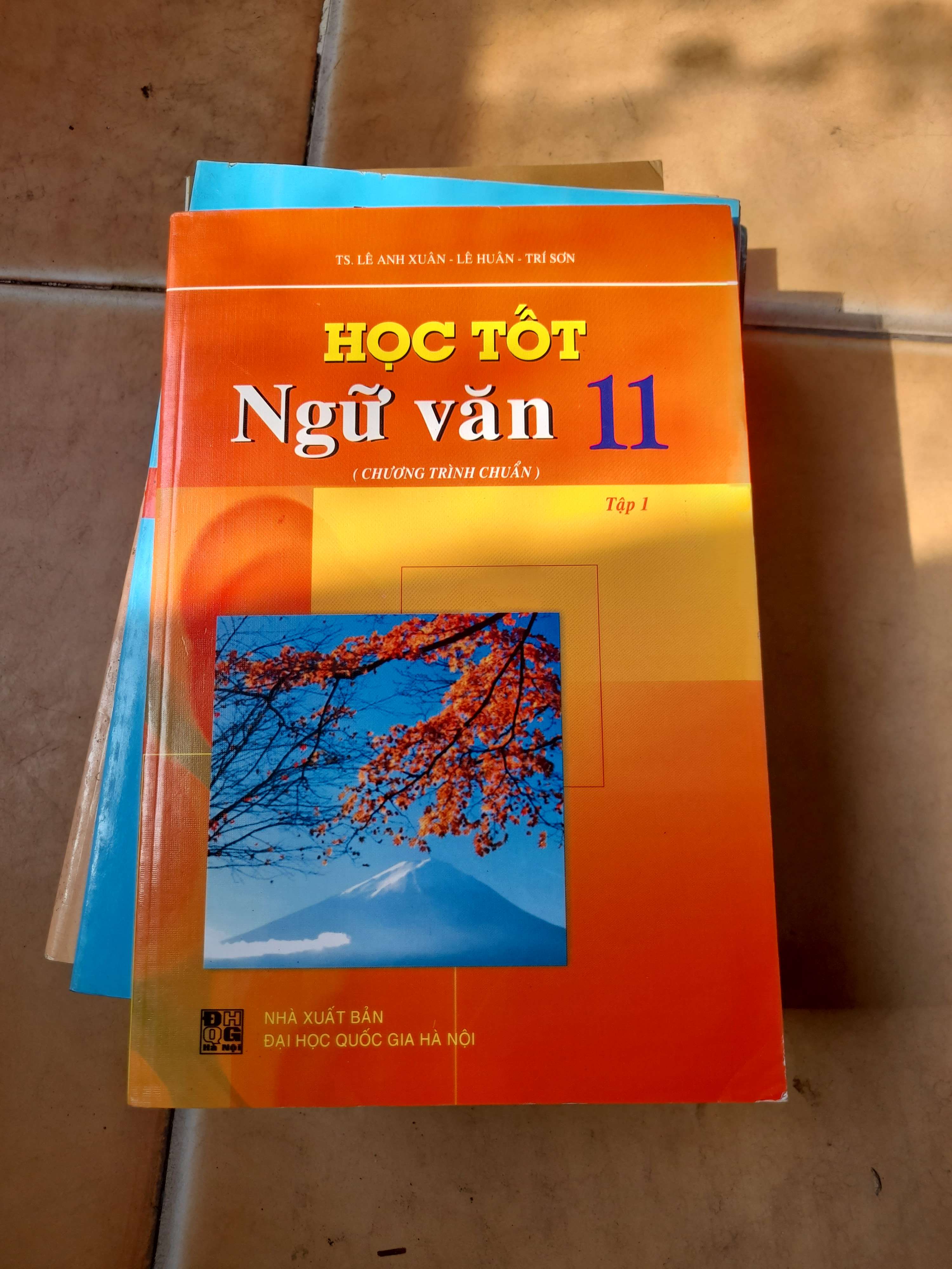 Học Tốt Ngữ Văn 11 (Tập 1) - Lê Anh Xuân, Lê Huân, Trí Sơn 2015 (Tham khảo - luyện thi) VAVO1304-AK3T3