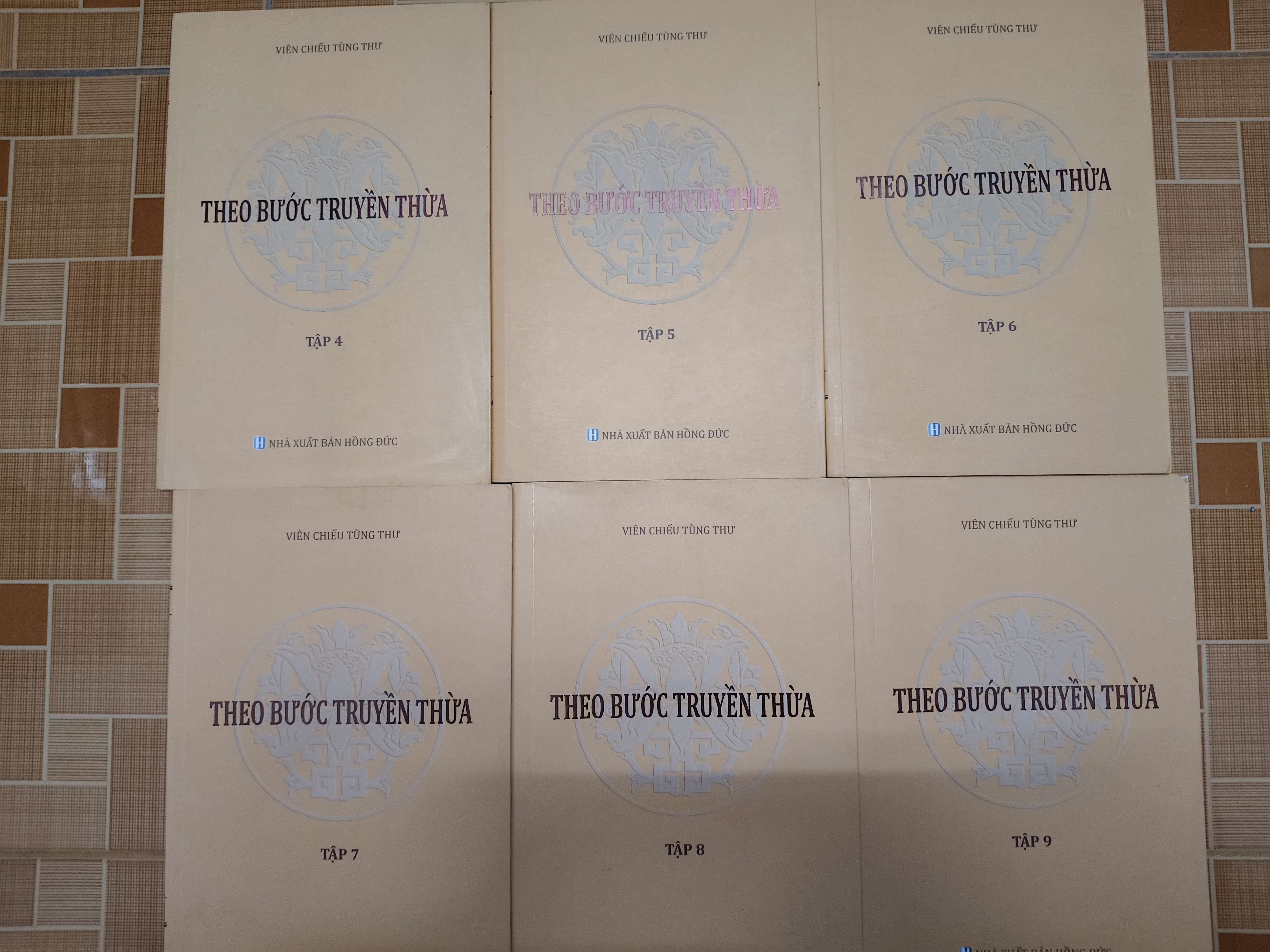 Theo bước dòng truyền thừa (Tập 4-9) - 2022 - 2775 trang - Bìa mềm - Kt 16 x 24 (Phật giáo) ANTQ1304