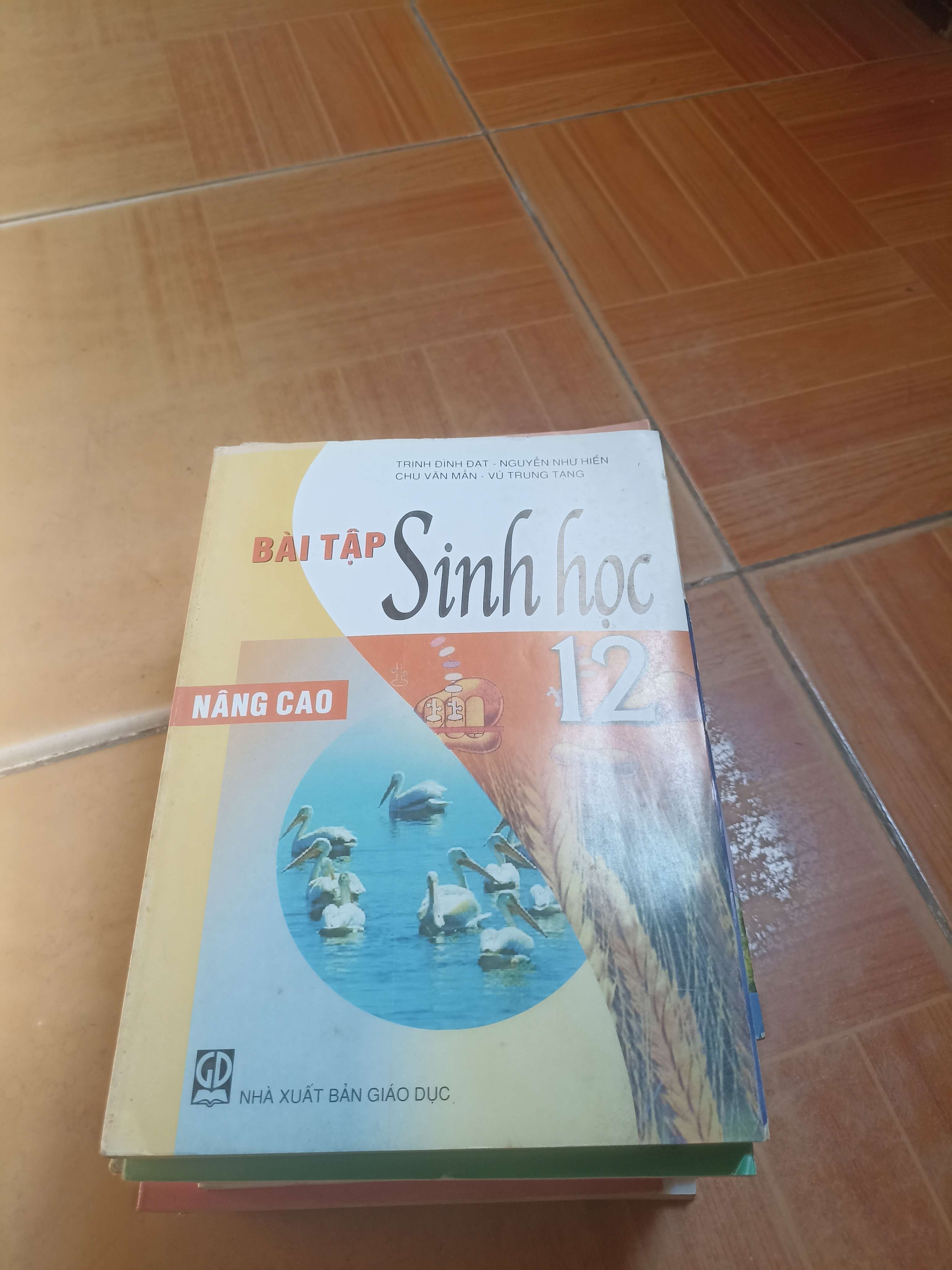Bài Tập Sinh Học 12 Nâng Cao – Trịnh Đình Đạt, Nguyễn Như Hiền, Chu Văn Mẫn, Vũ Trung Tạng 2008 (Tham khảo - luyện thi) VAVO1304-AK3ST2