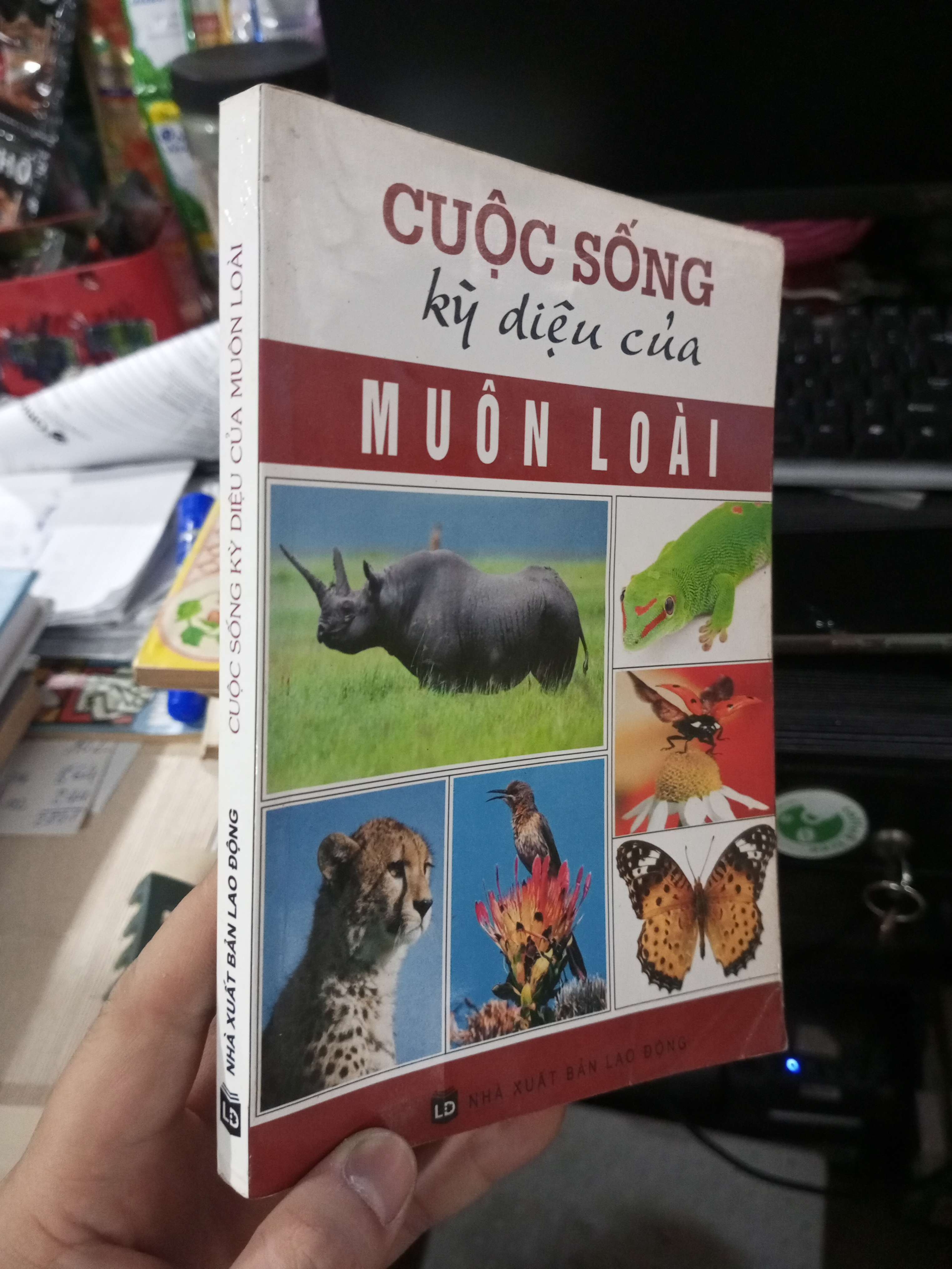 Cuộc Sống Kỳ Diệu Của Muôn Loài 2008 mới 80% ố (Sách kiến thức tổng hợp) HCM1304 (NSX)