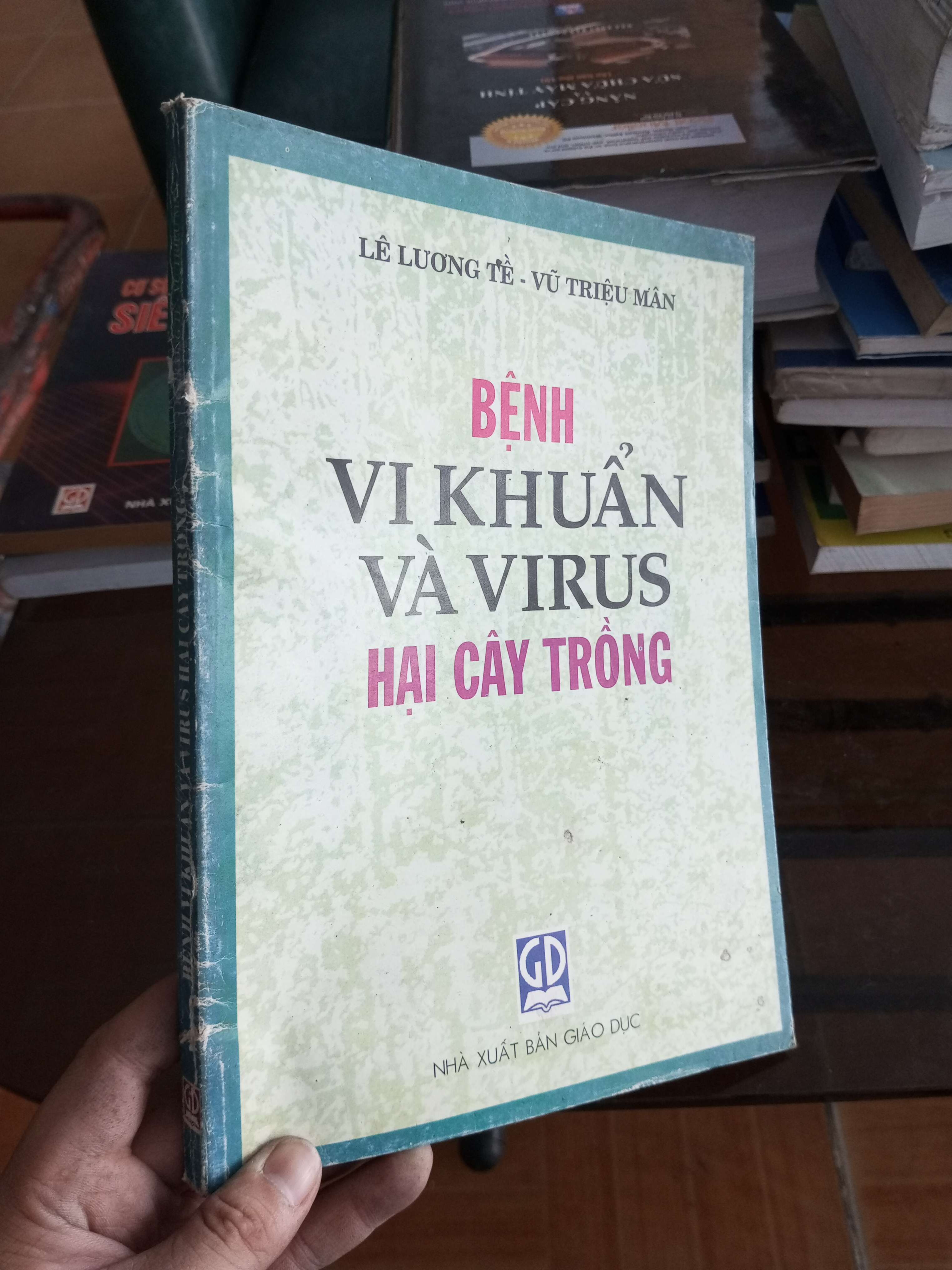 Bệnh vi khuẩn và virus hại cây trồng - Triệu Mân 1999 (Sách chuyên khảo, khảo cứu) VAVO1304-A0