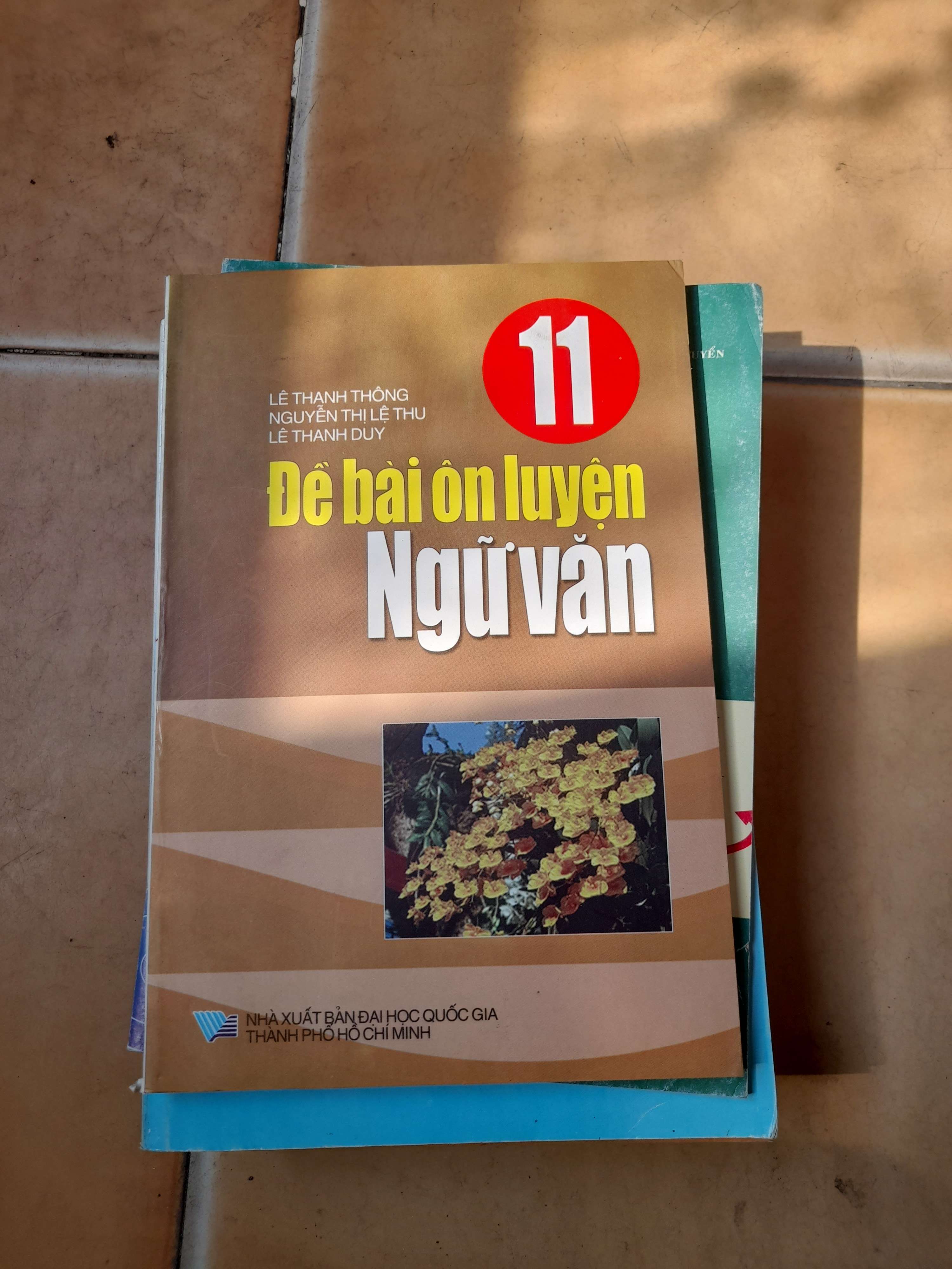 Đề Bài Ôn Luyện Ngữ Văn 11 - Lê Thanh Thông, Nguyễn Thị Lệ Thu, Lê Thanh Duy 2007 (Tham khảo - luyện thi) VAVO1304-AK3T3