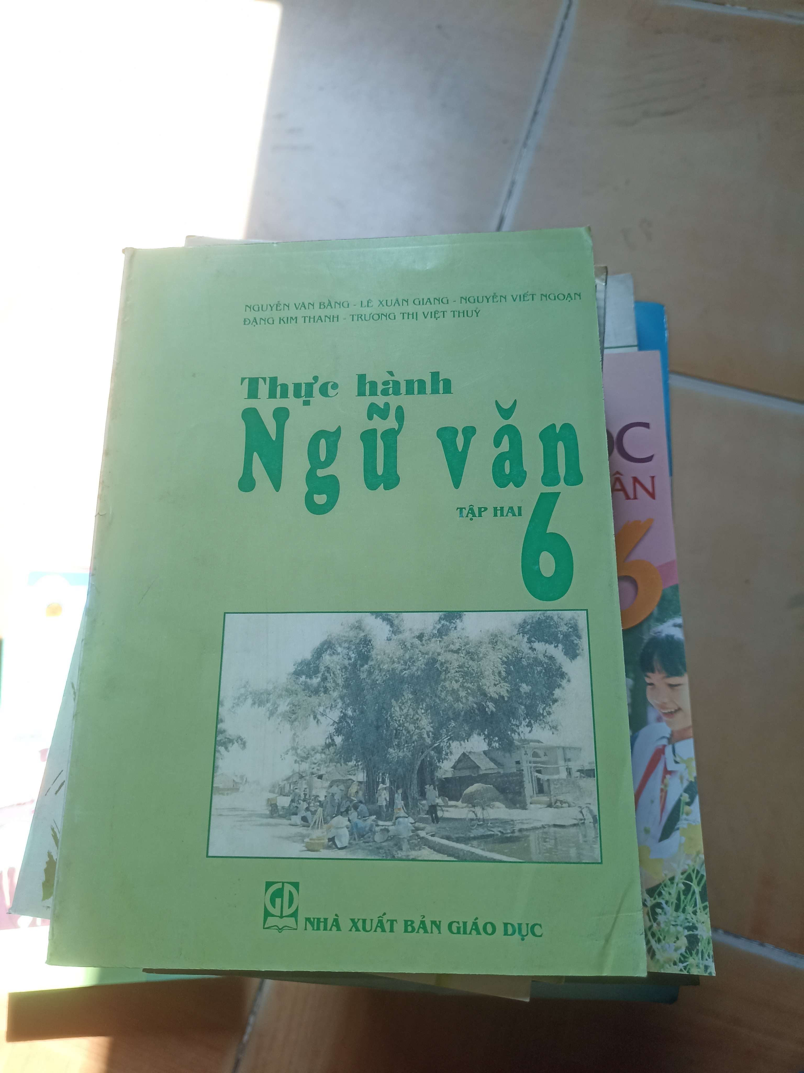 Thực Hành Ngữ Văn 6 (Tập 2) – Nguyễn Văn Bằng, Lê Xuân Giang, Nguyễn Viết Ngoạn, Đặng Kim Thanh, Trương Thị Việt Thủy 2008 (Giáo khoa) VAVO1304-AK3ST2