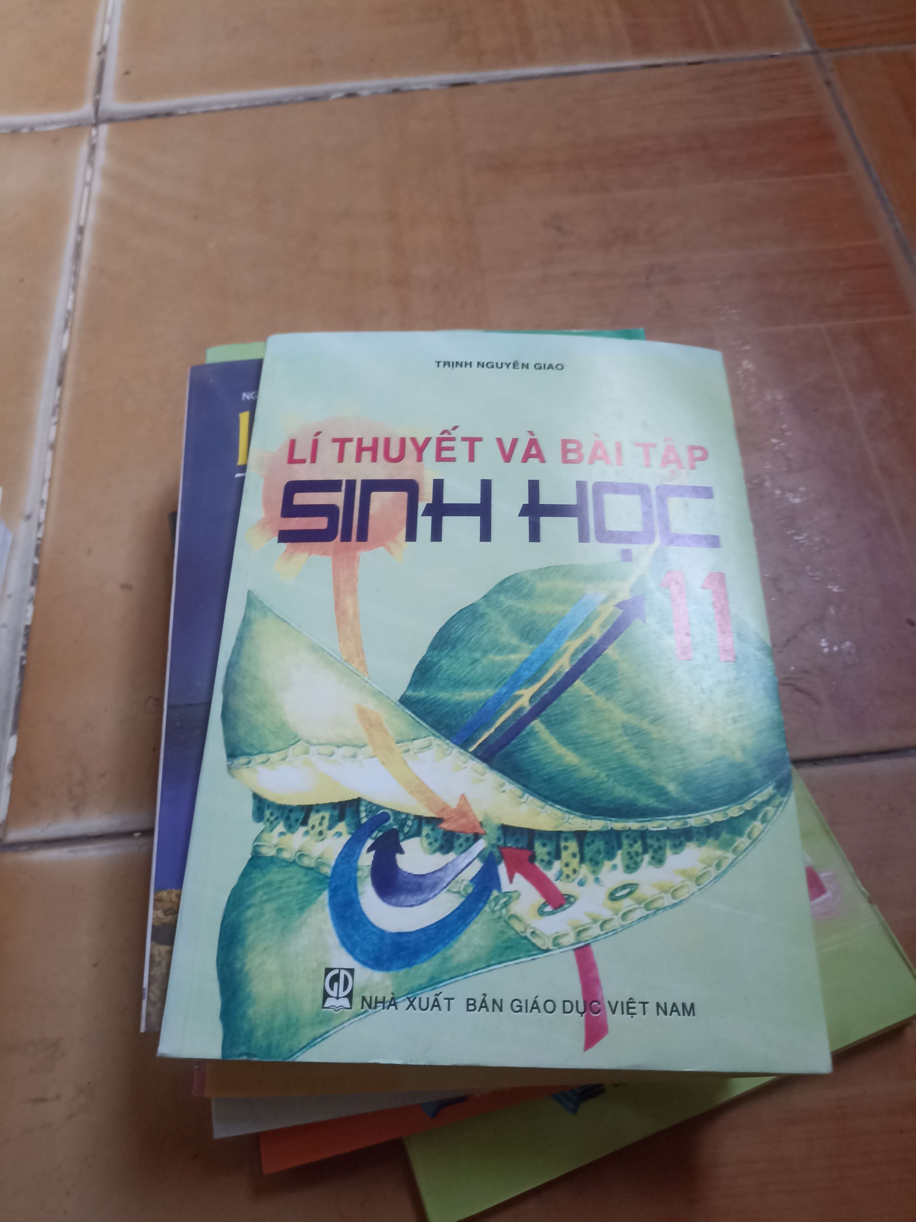 Lí thuyết và bài tập sinh học 11 - Nguyễn Giao 2009 (Giáo khoa) VAVO1304-AK4T1