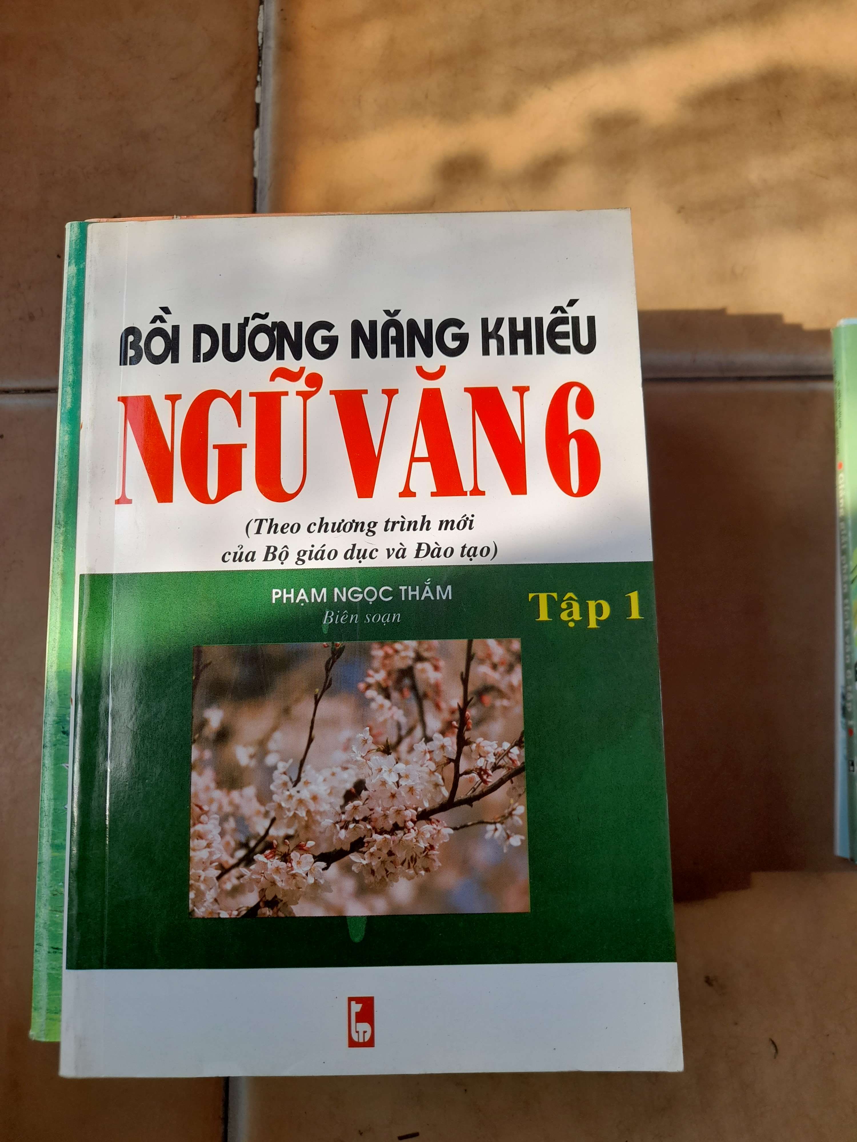 Bồi Dưỡng Năng Khiếu Ngữ Văn 6 (Tập 1) - Phạm Ngọc Thắm 2003 (Tham khảo - luyện thi) VAVO1304-AK3T3