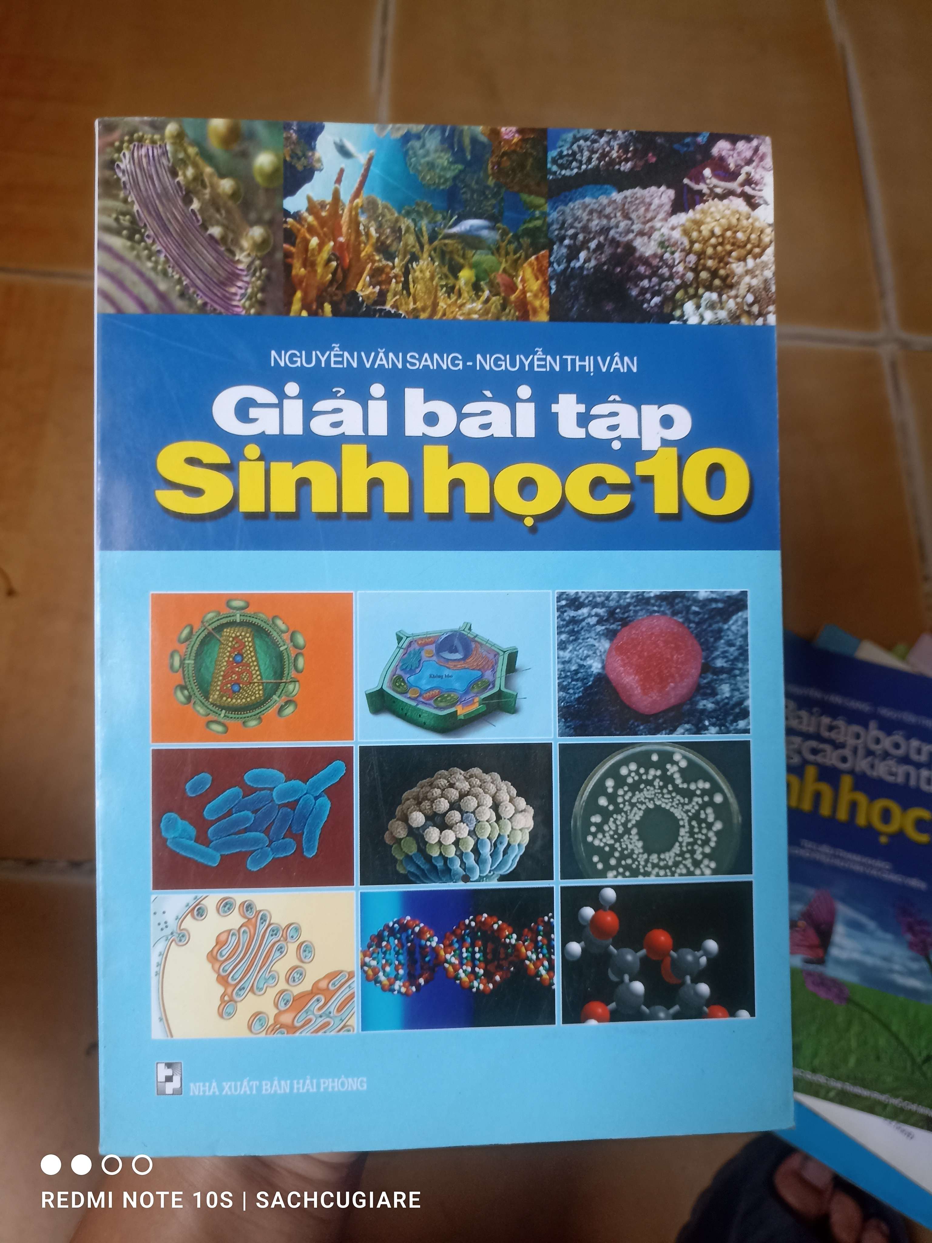 Giải Bài Tập Sinh Học 10 - Nguyễn Văn Sang, Nguyễn Thị Vân 2009 (Tham khảo - luyện thi) VAVO1304-AK3T2