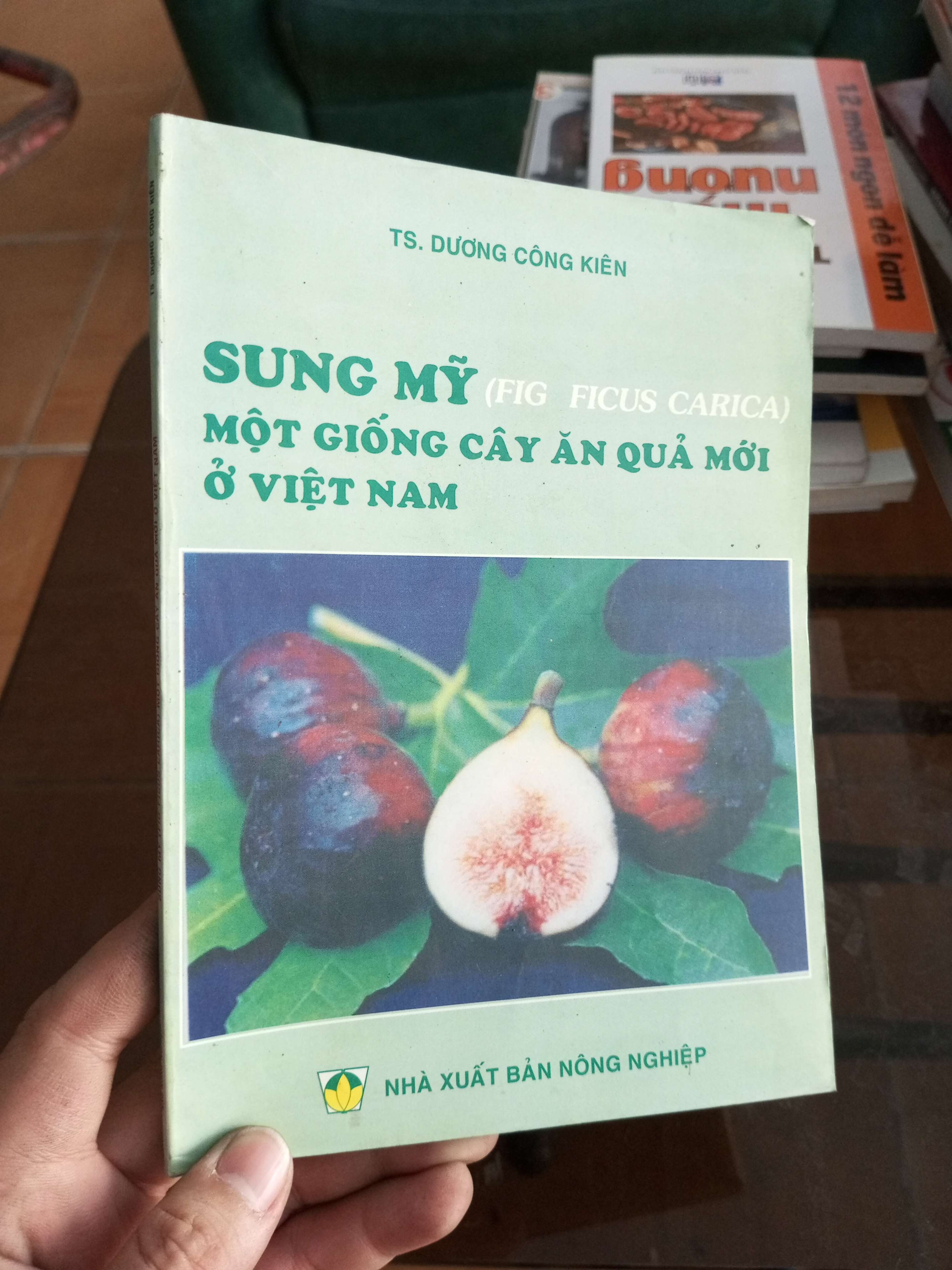 Sung Mỹ một giống cây ăn quả mới ở Việt Nam - Công Kiên 2002 (Sách giáo khoa - giáo trình) VAVO1304-A0