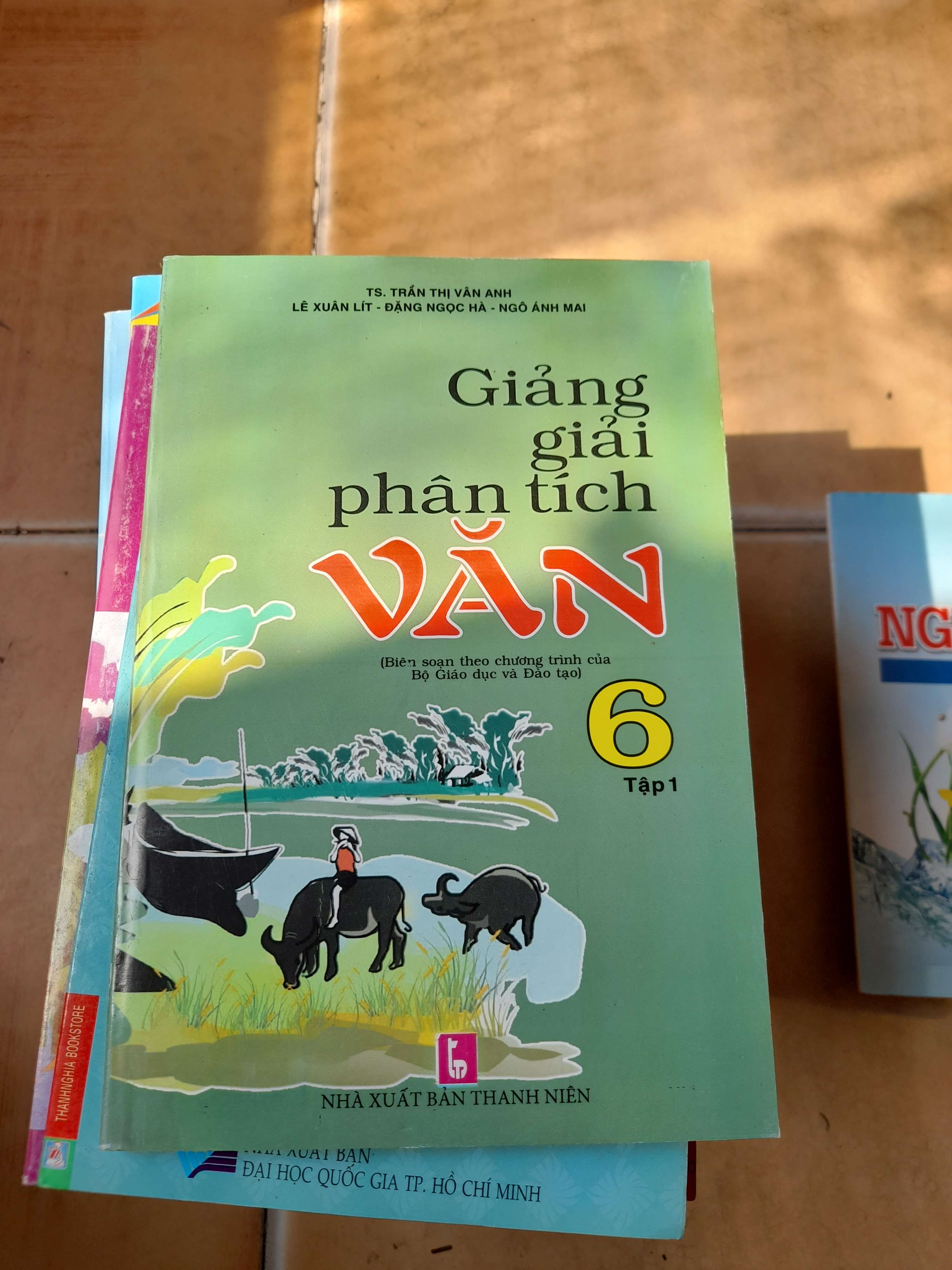 Giảng Giải Phân Tích Văn 6 (Tập 1) - Trần Thị Vân Anh, Lê Xuân Lít, Đặng Ngọc Hà, Ngô Anh Mai 2016 (Tham khảo - luyện thi) VAVO1304-AK3T3