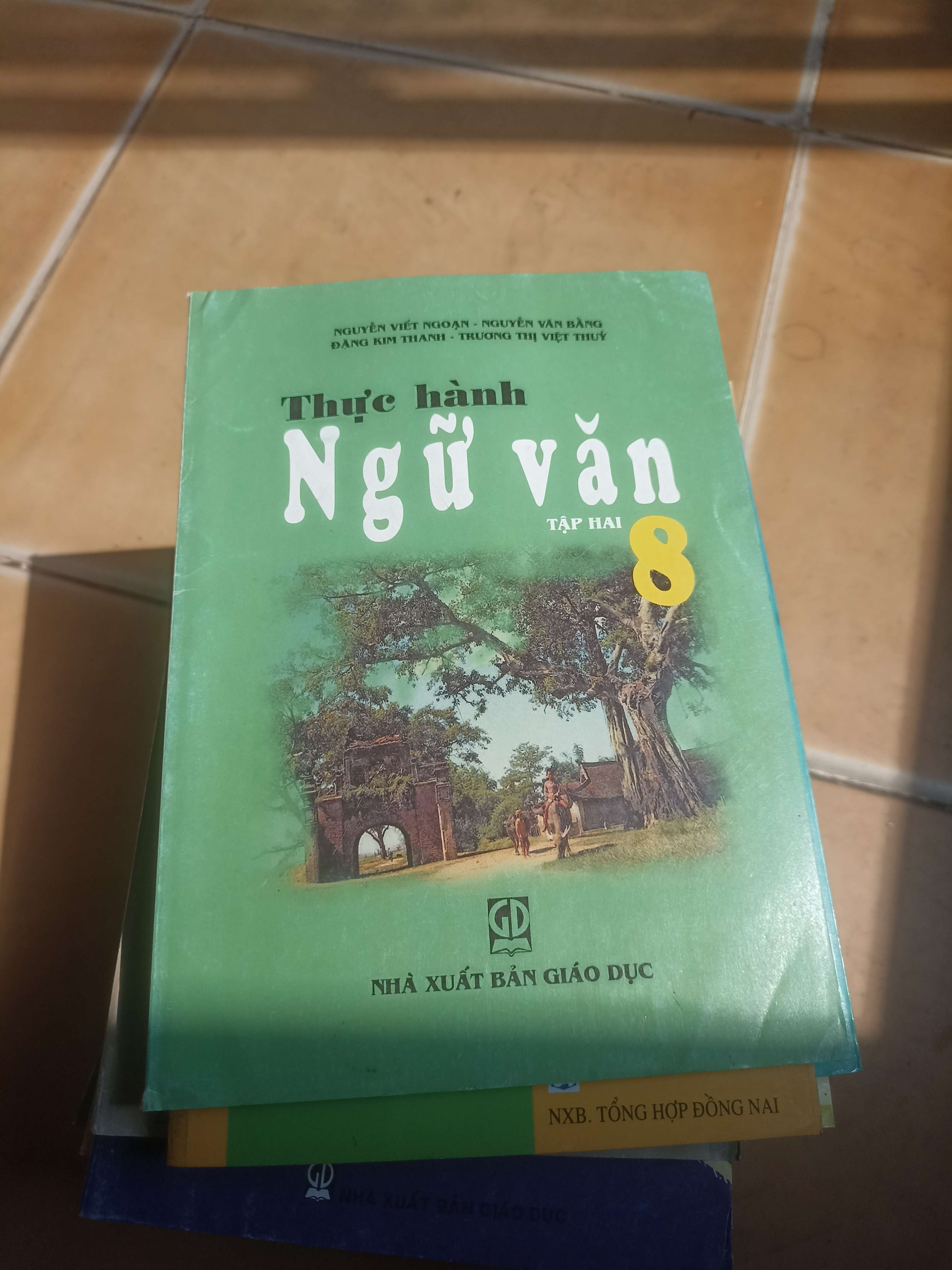 Thực Hành Ngữ Văn 8 (Tập 2) – Nguyễn Viết Ngoạn, Nguyễn Văn Bảng, Đặng Kim Thanh, Trương Thị Việt Thuý 2005 (Giáo khoa) VAVO1304-AK3ST2