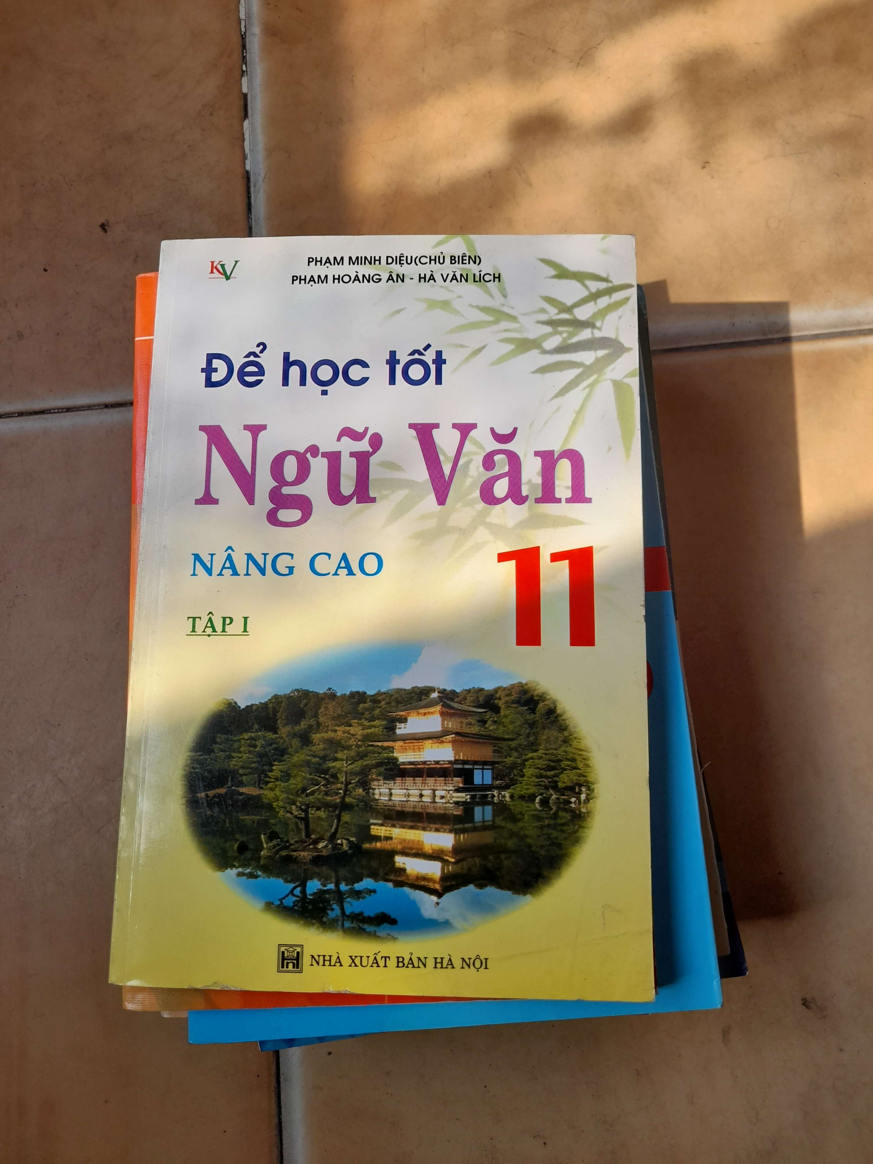 Để Học Tốt Ngữ Văn Nâng Cao 11 (Tập 1) - Phạm Minh Diệu, Phạm Hoàng Ân, Hà Văn Lích 2007 (Tham khảo - luyện thi) VAVO1304-AK3T3
