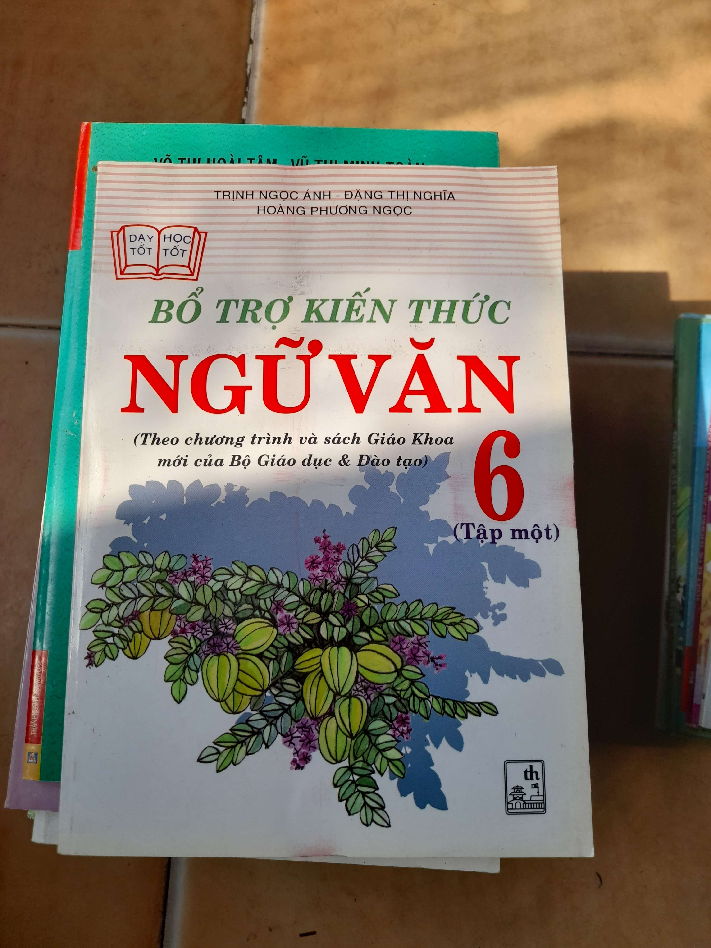 Bổ Trợ Kiến Thức Ngữ Văn 6 (Tập 1) - Trịnh Ngọc Ánh, Đặng Thị Nghĩa, Hoàng Phương Ngọc 2005 (Tham khảo - luyện thi) VAVO1304-AK3T3