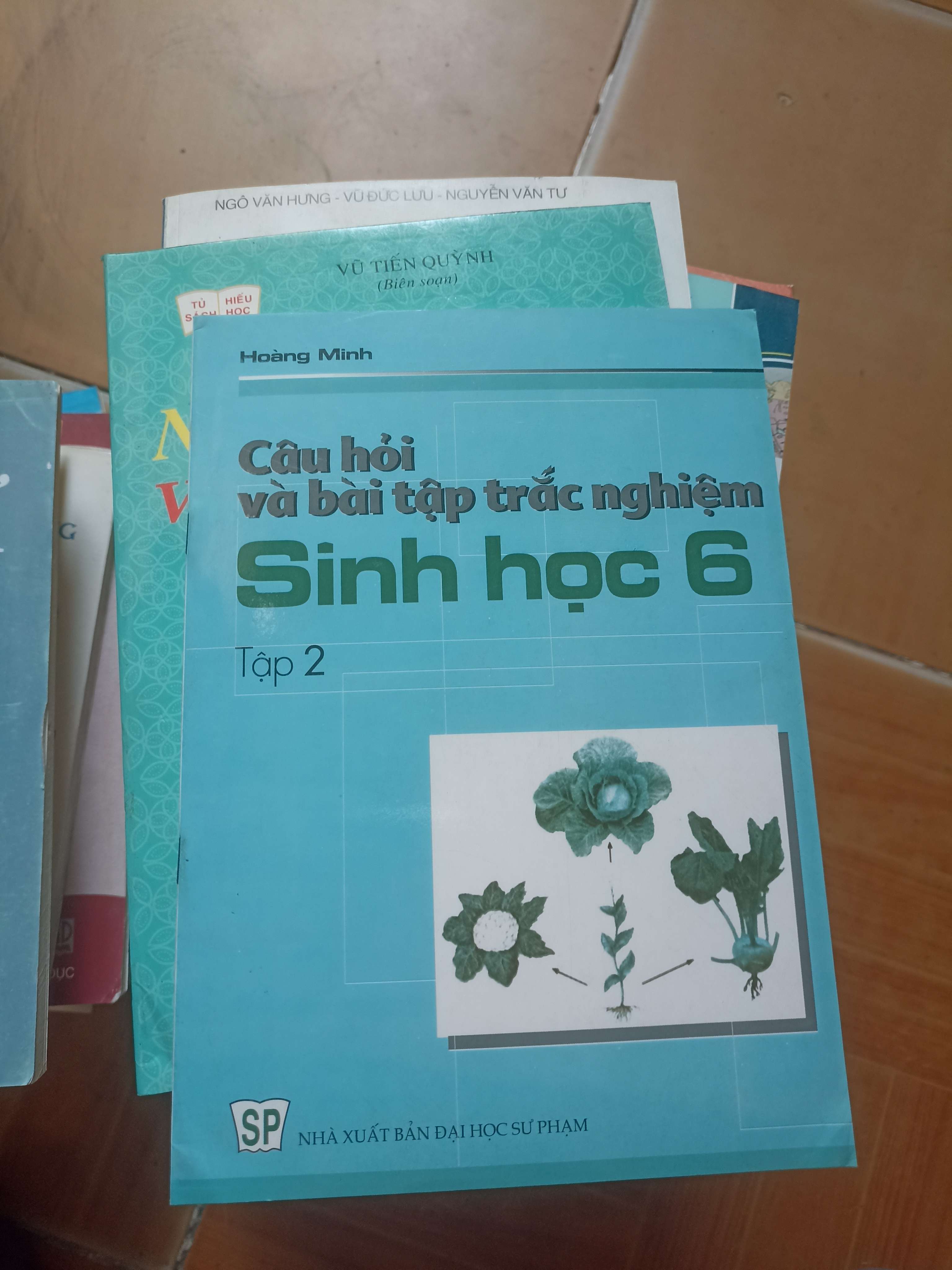 Câu hỏi và bài tập trắc nghiệm sinh học 6 tập hai - Hoàng Minh 2005 (Tham khảo - luyện thi) VAVO1304-AK3ST2