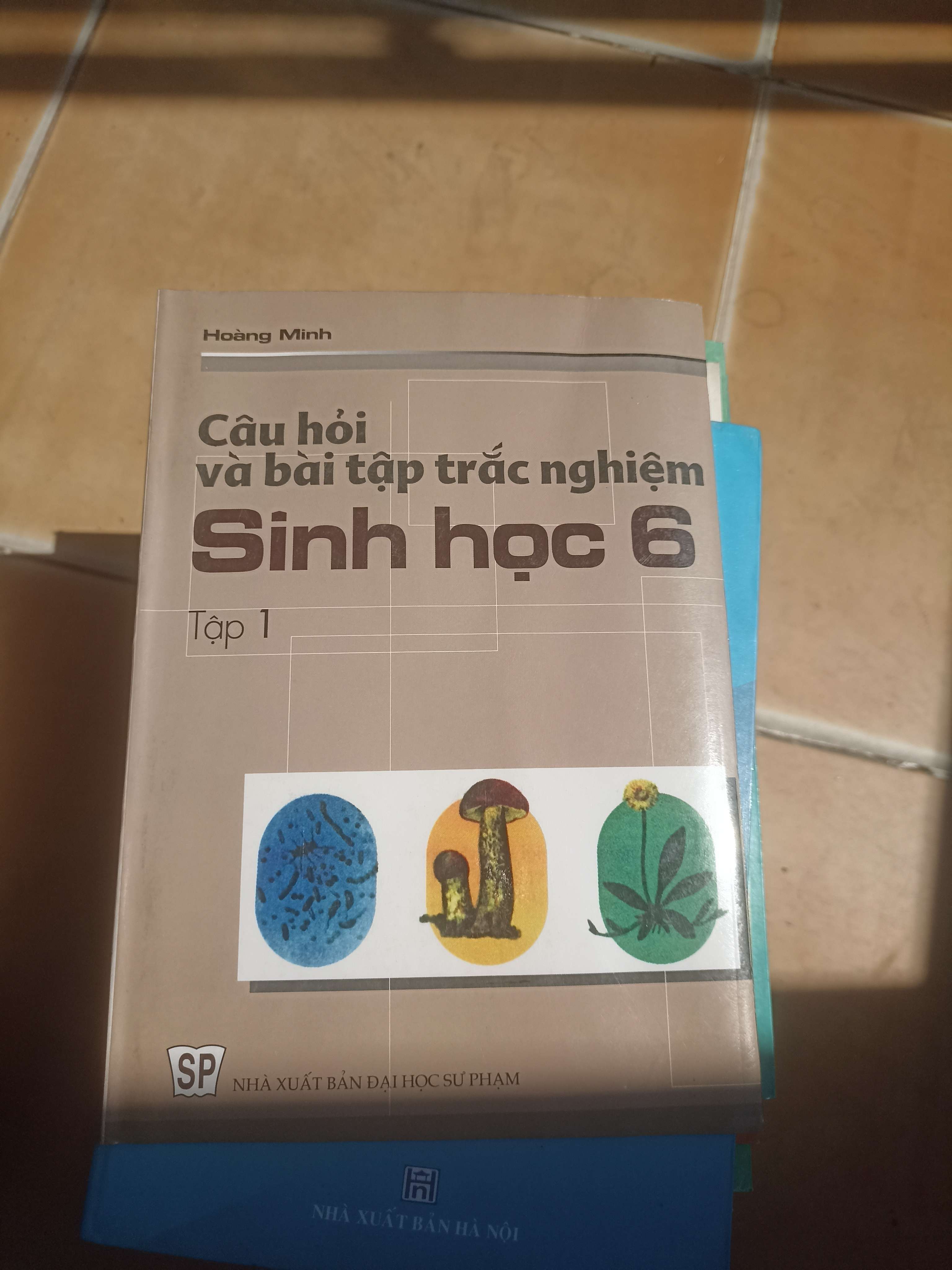 Câu Hỏi Và Bài Tập Trắc Nghiệm Sinh Học 6 (Tập 1) – Hoàng Minh 2004 (Giáo khoa) VAVO1304-AK3ST2