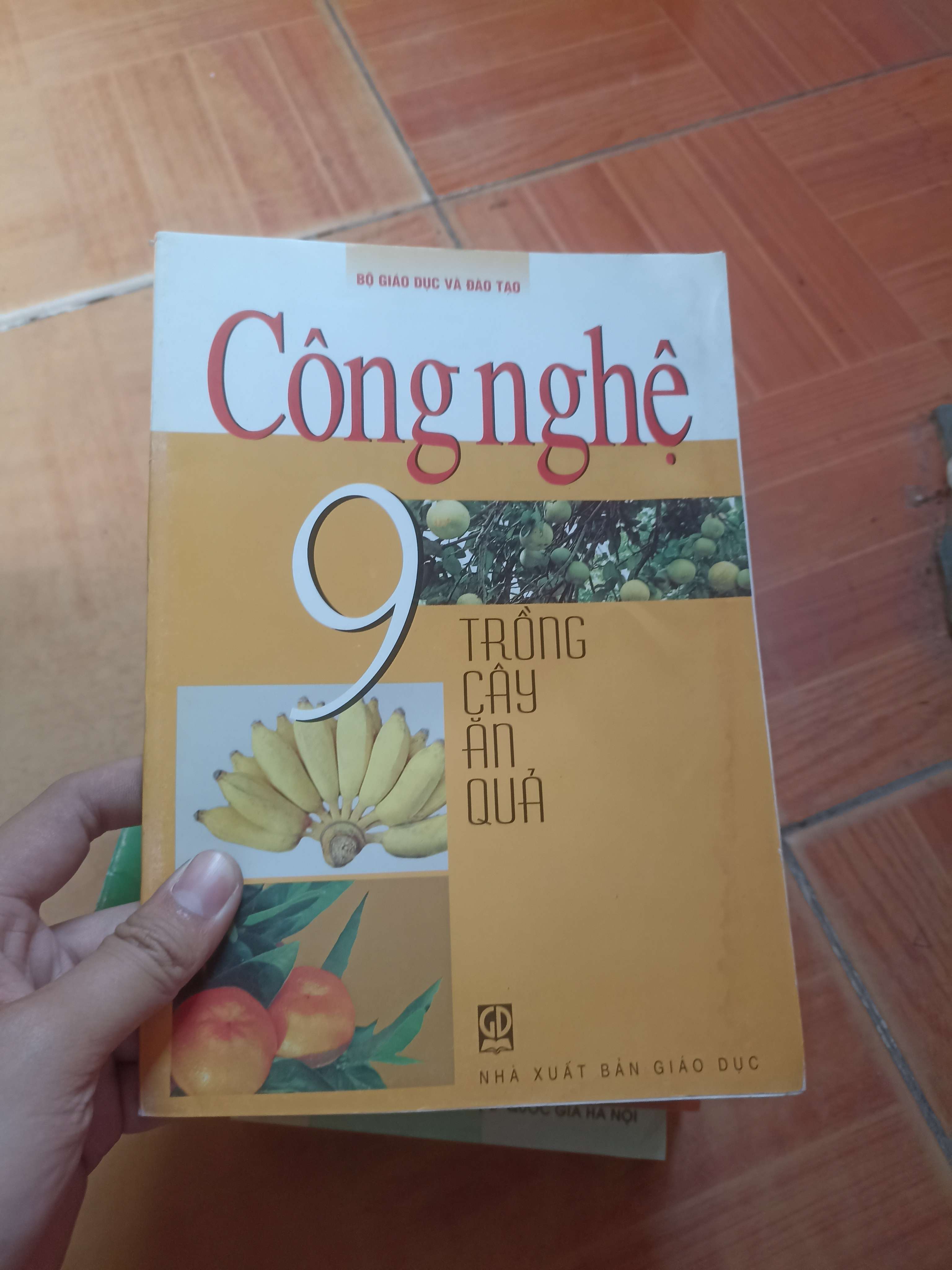 Công nghệ 9 trồng cây ăn quả 2006 (Giáo khoa) VAVO1304-AK3ST3