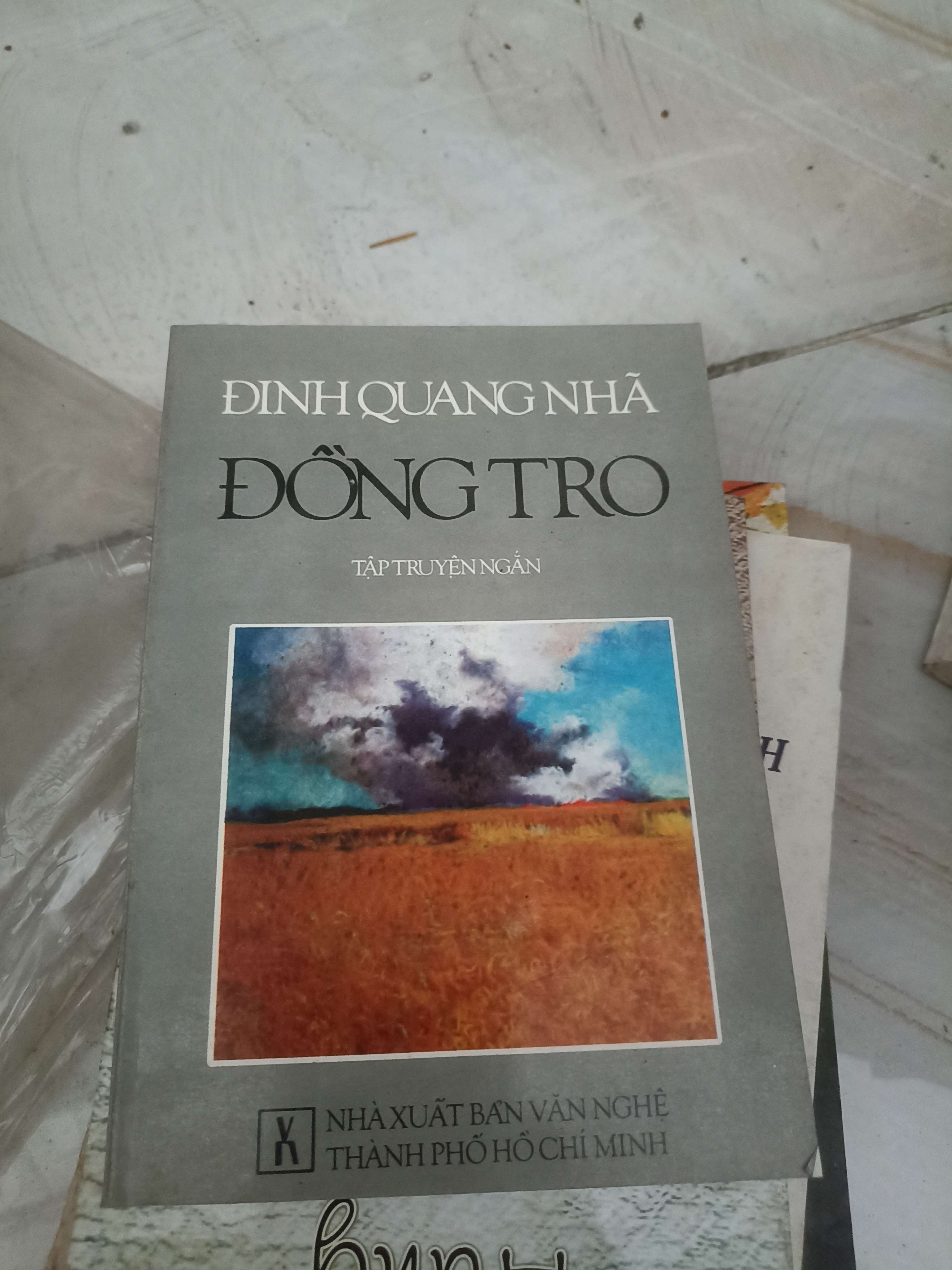 Đồng tro - Đinh Quang Nhã (Văn học Việt Nam) VAVO