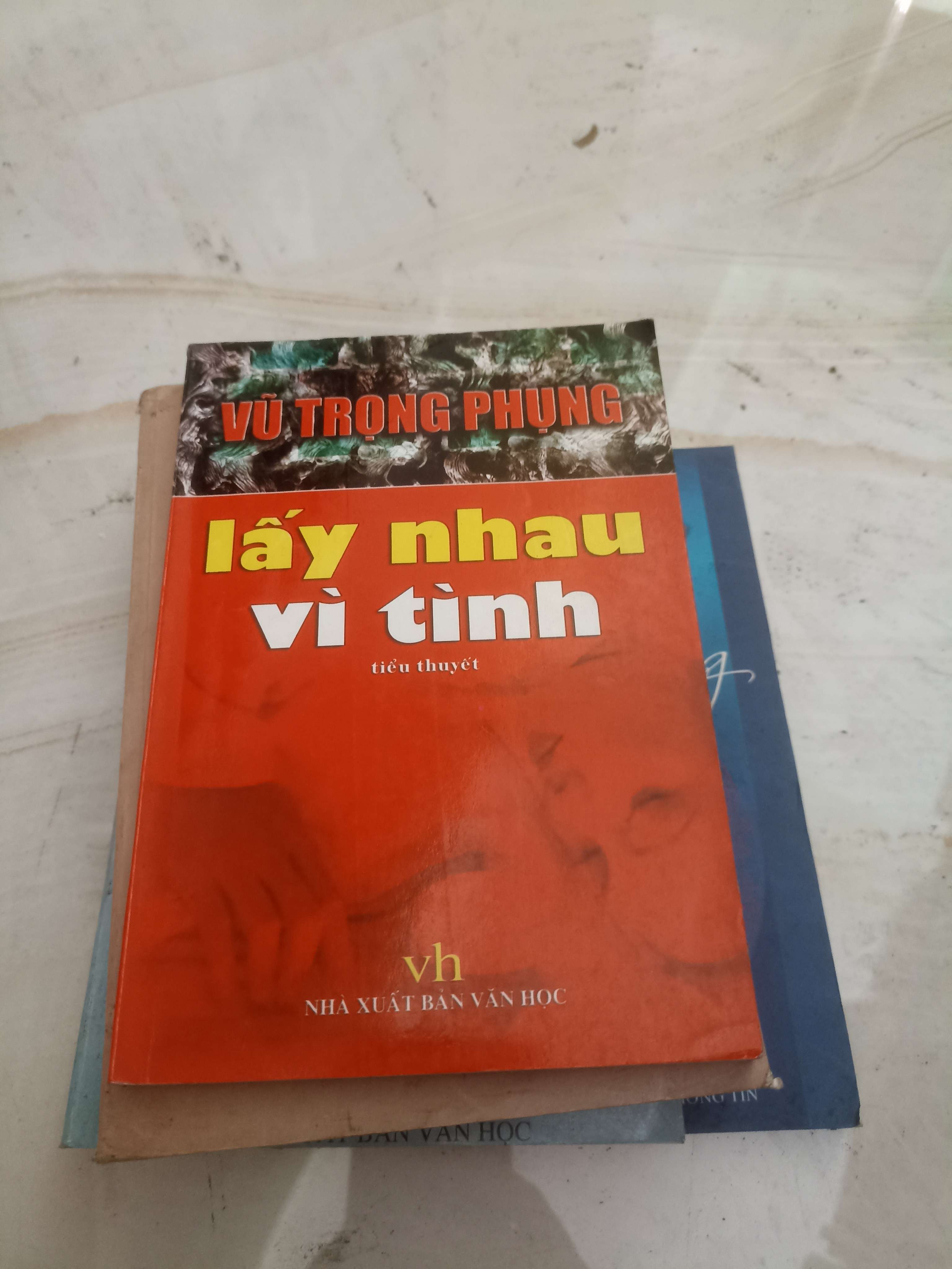 Lấy nhau vì tình - Vũ Trọng Phụng (Văn học Việt Nam) VAVO