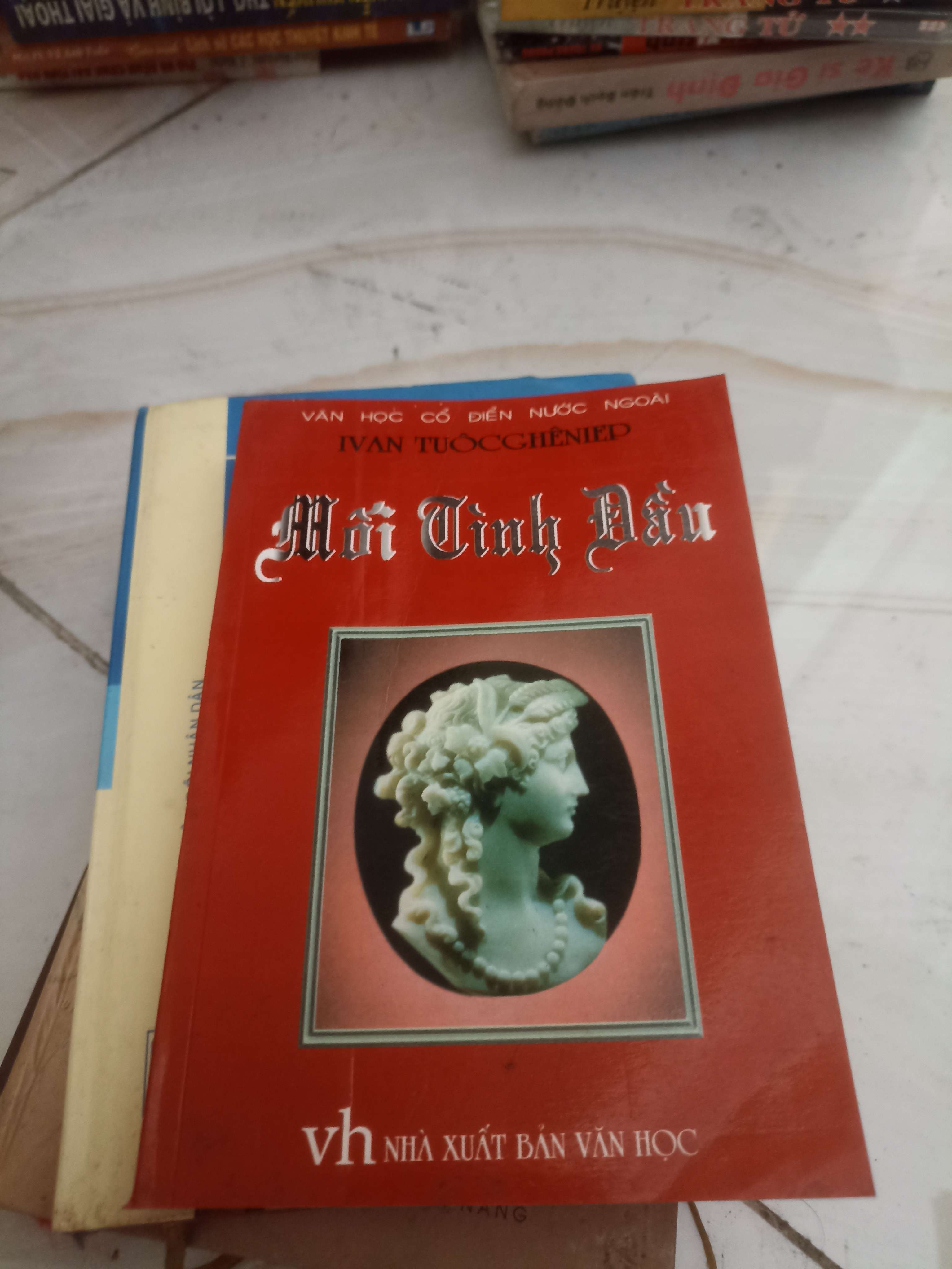 Mối tình đầu - Ivan Turgenev (Văn học nước ngoài) VAVO
