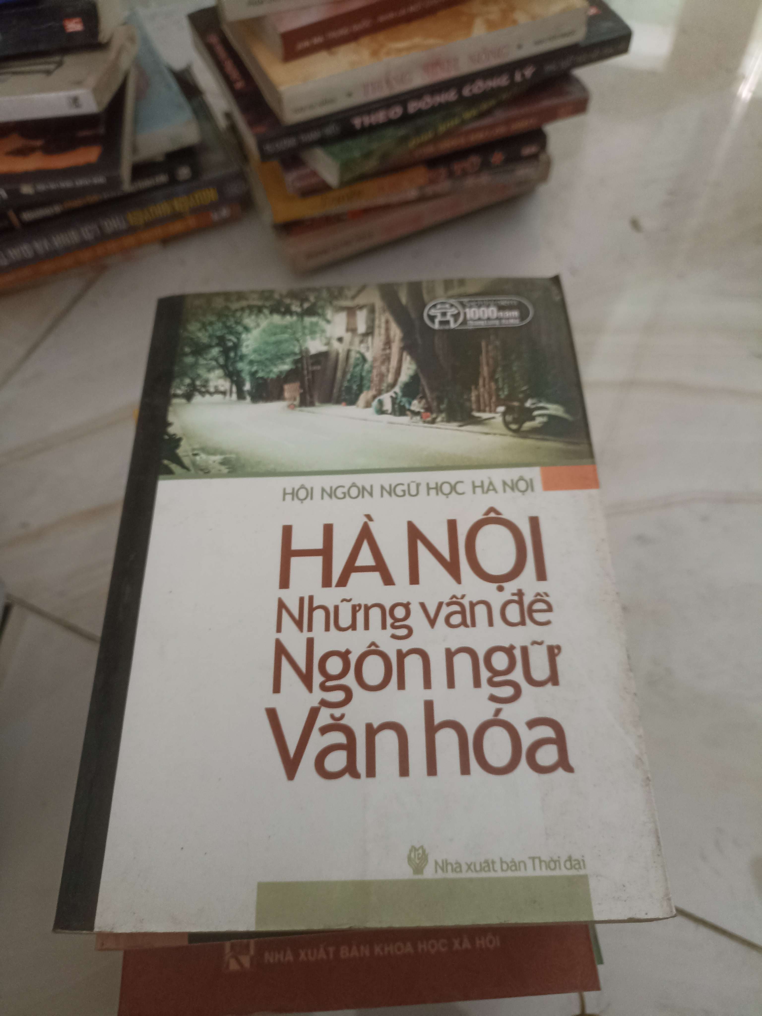 Hà Nội những vấn đề ngôn ngữ văn hóa (Sách chuyên khảo, khảo cứu) VAVO