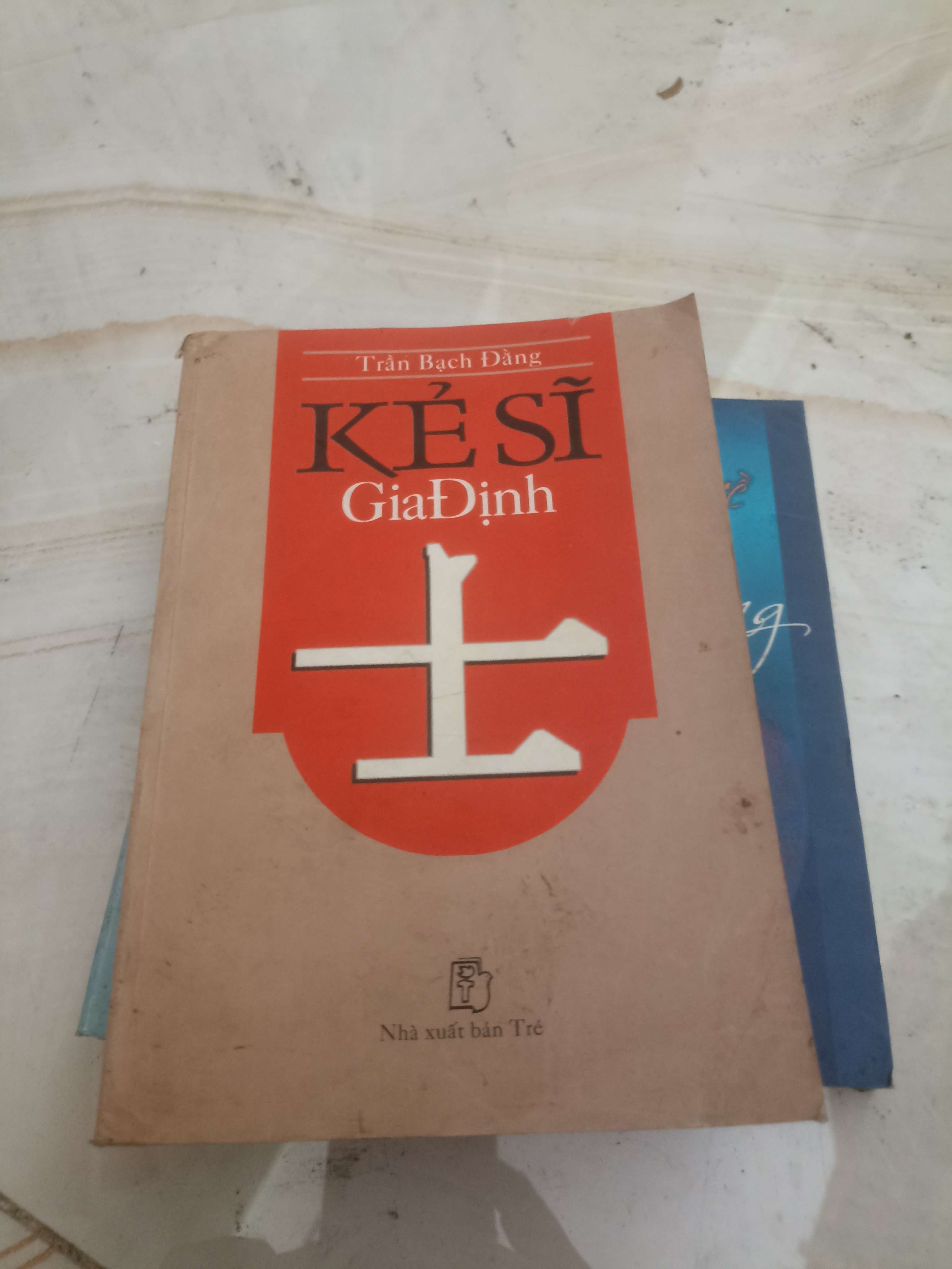 Kẻ sĩ Gia Định - Trần Bạch Đằng (Văn học Việt Nam) VAVO