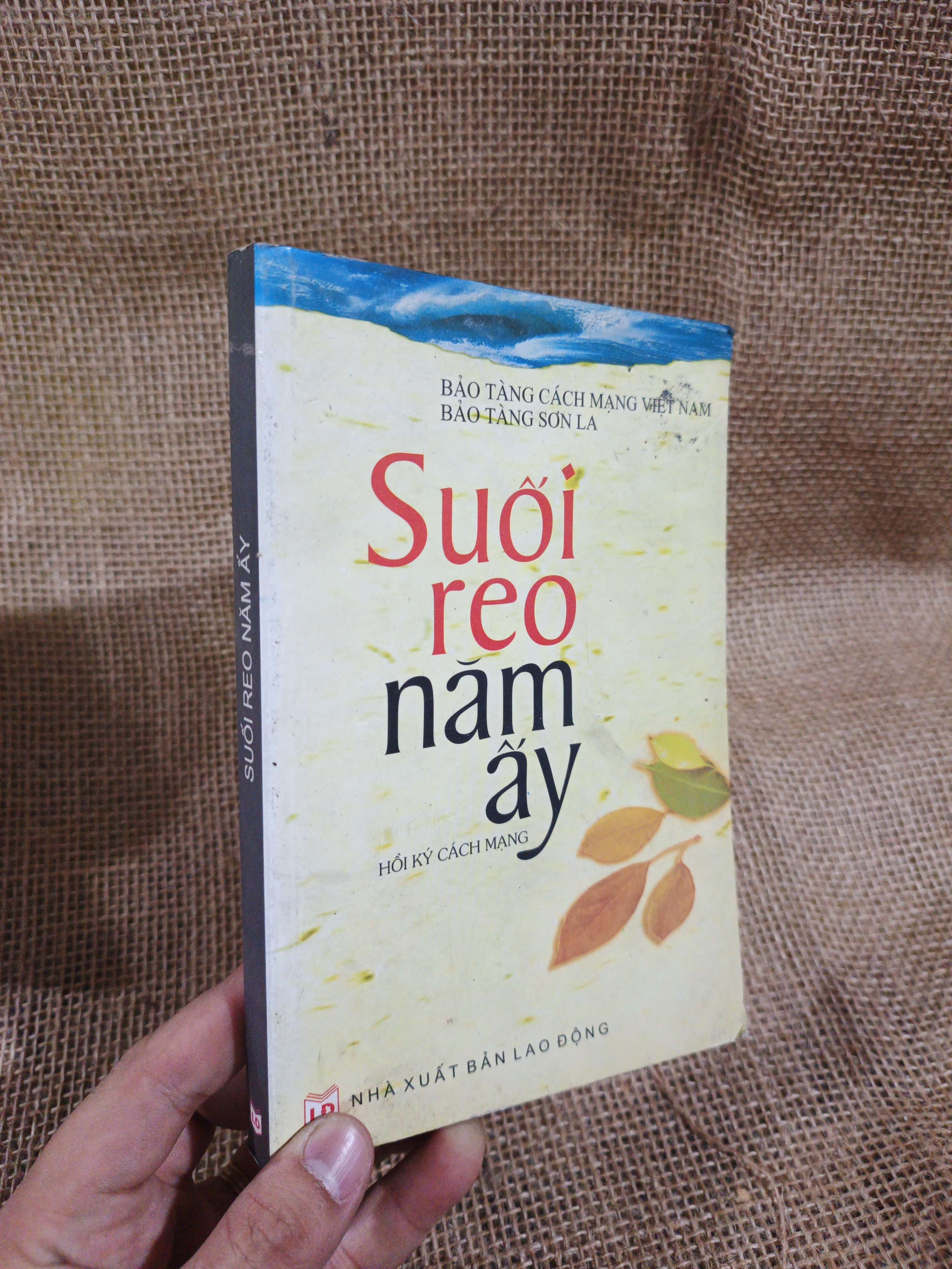 Suối reo năm ấy 2006 mới 80% ố (Văn học Việt Nam) HLSC2404 (NSX)