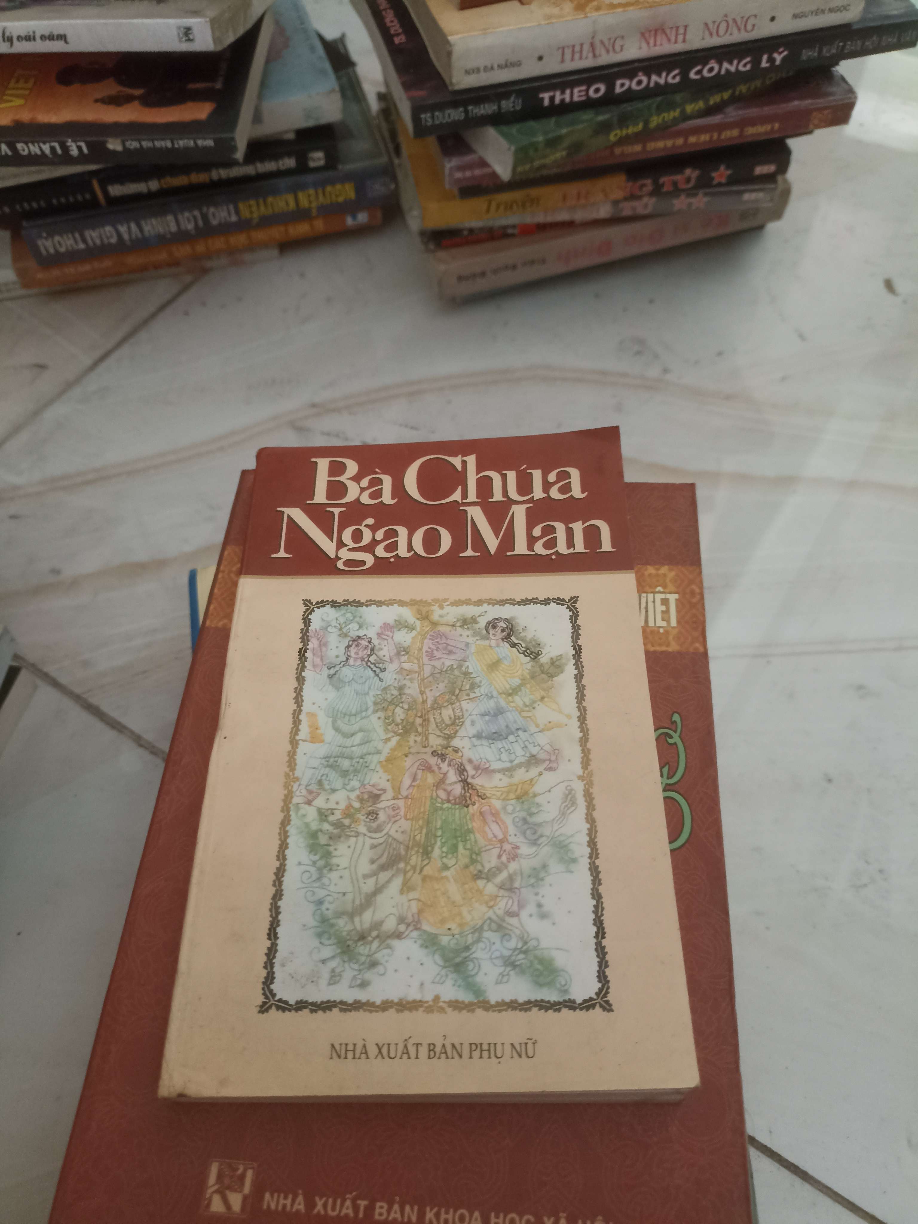 Bà chúa ngạo mạn (Sách văn học) VAVO