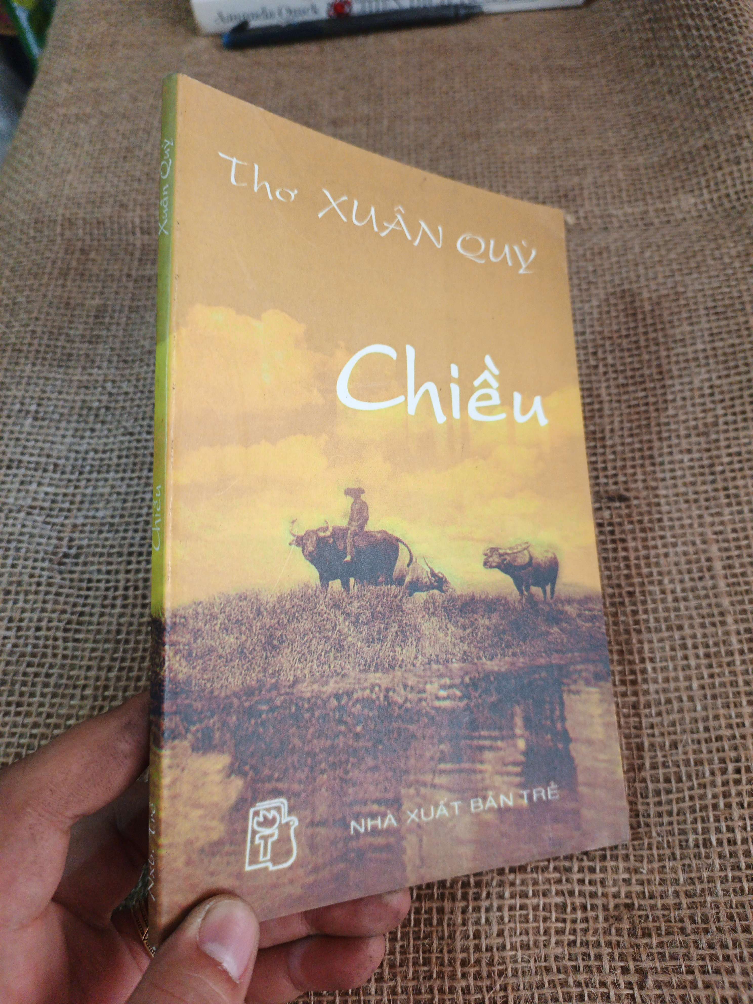 Chiều - Xuân Quỳ 1999 mới 80% ố (Sách văn học) HLSC2404 (NSX)
