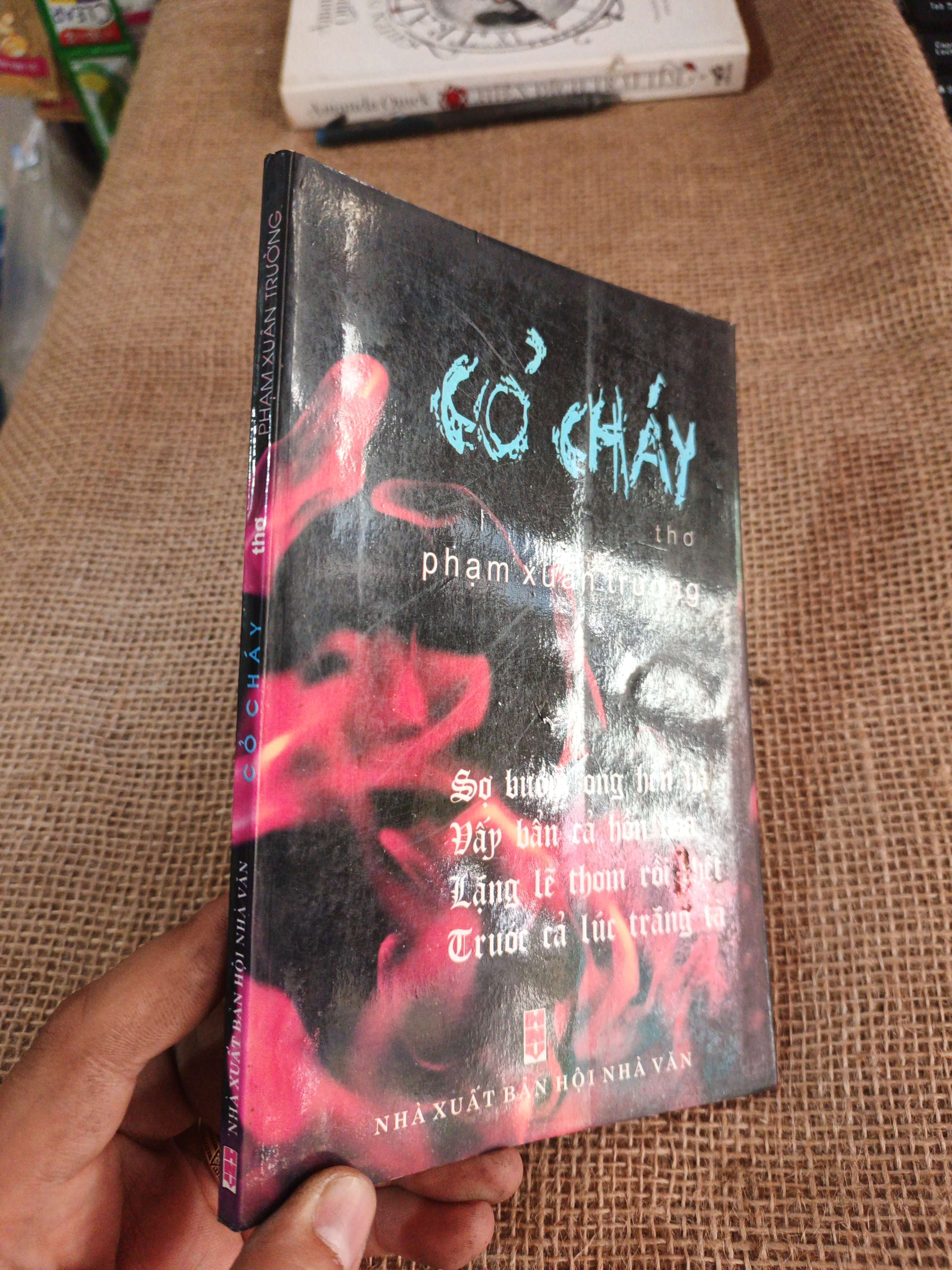Cỏ cháy - Phạm Xuân Trường 2006 mới 80% ố (Sách văn học) HLSC2404 (NSX)