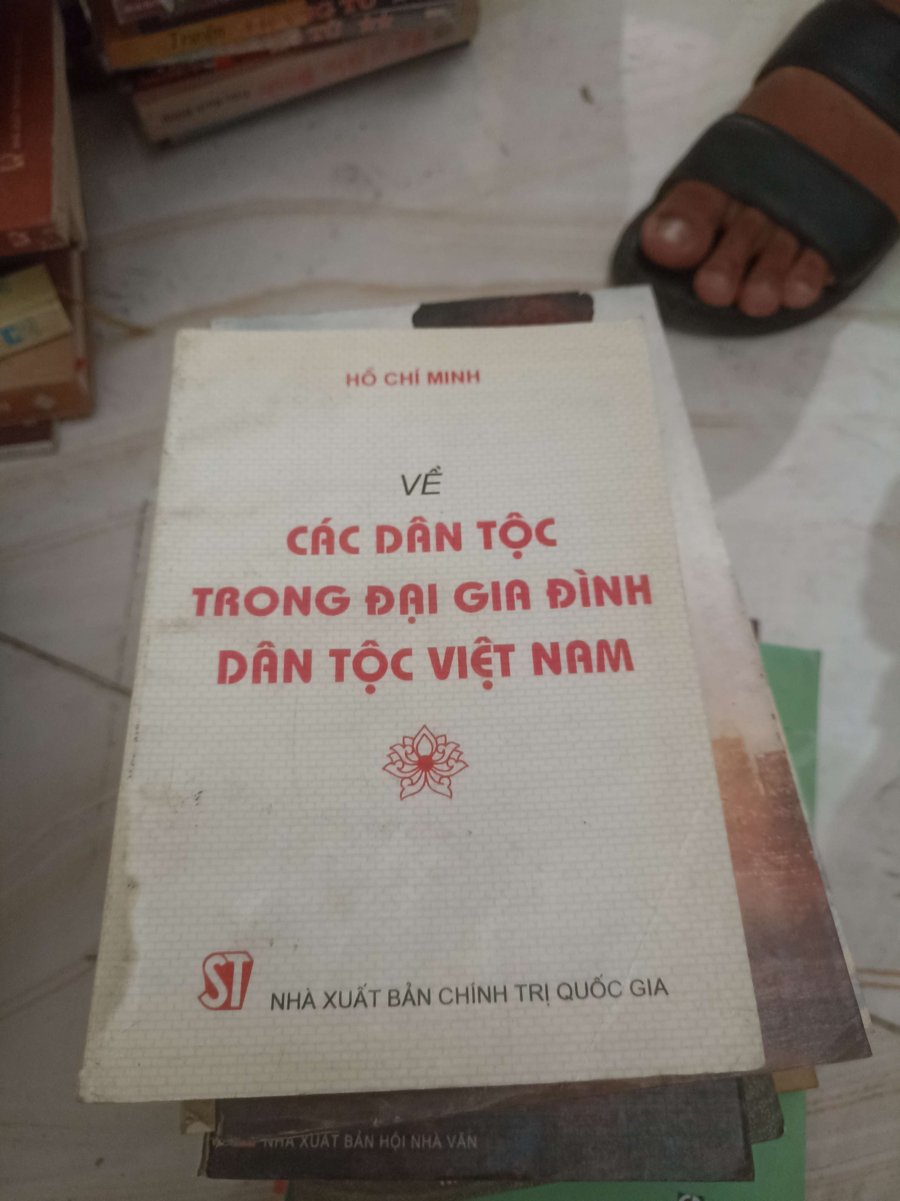 Về các dân tộc trong đại gia đình dân tộc Việt Nam (Sách chuyên khảo, khảo cứu) VAVO