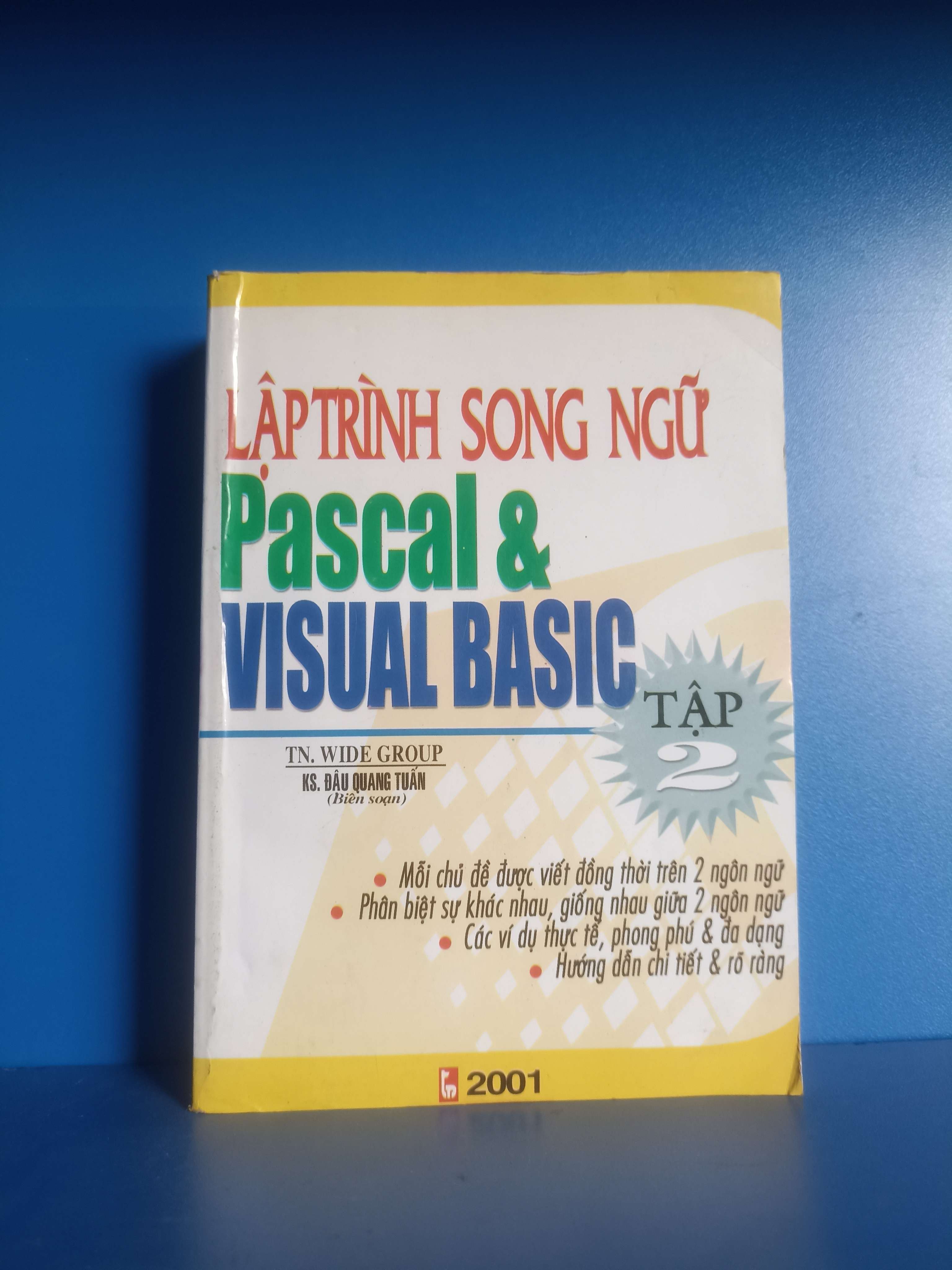 Lập trình song ngữ Pascal & Visual Basic (Giáo trình đại học - cao đẳng) VAVO