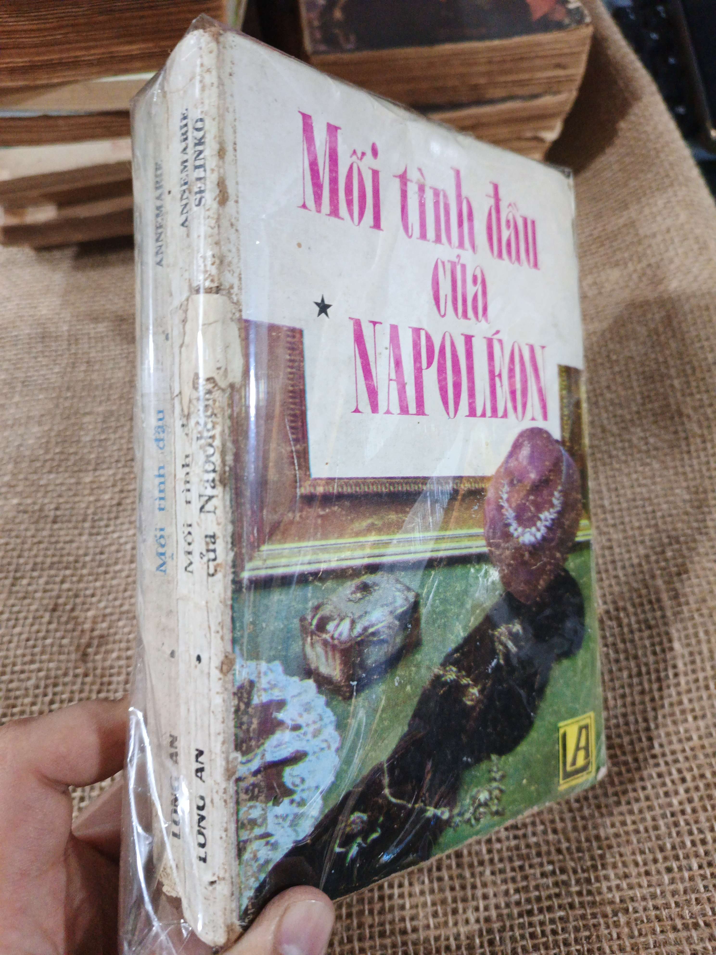 Mối tình đầu của Napoleon mới 70% (Văn học nước ngoài) HLSC2404