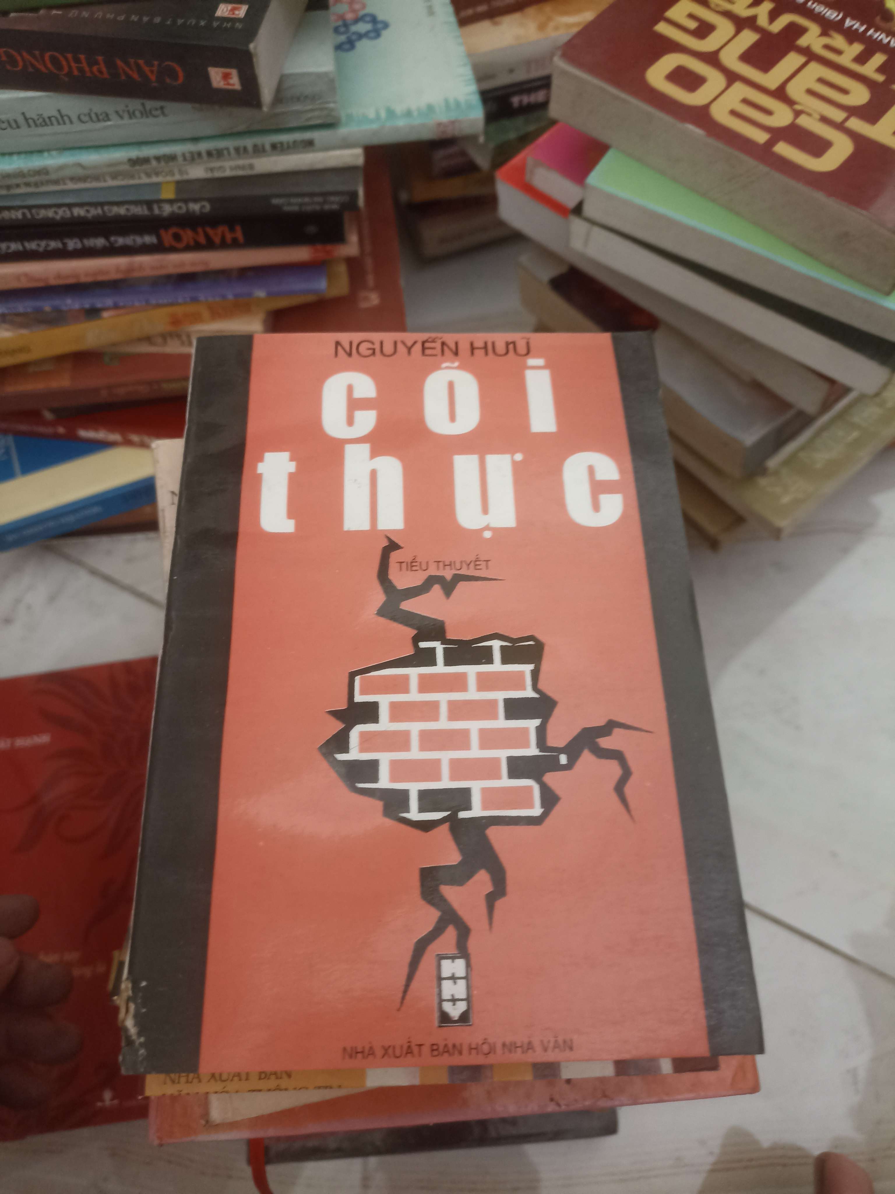 Cõi thực - Nguyễn Hữu (Văn học Việt Nam) VAVO