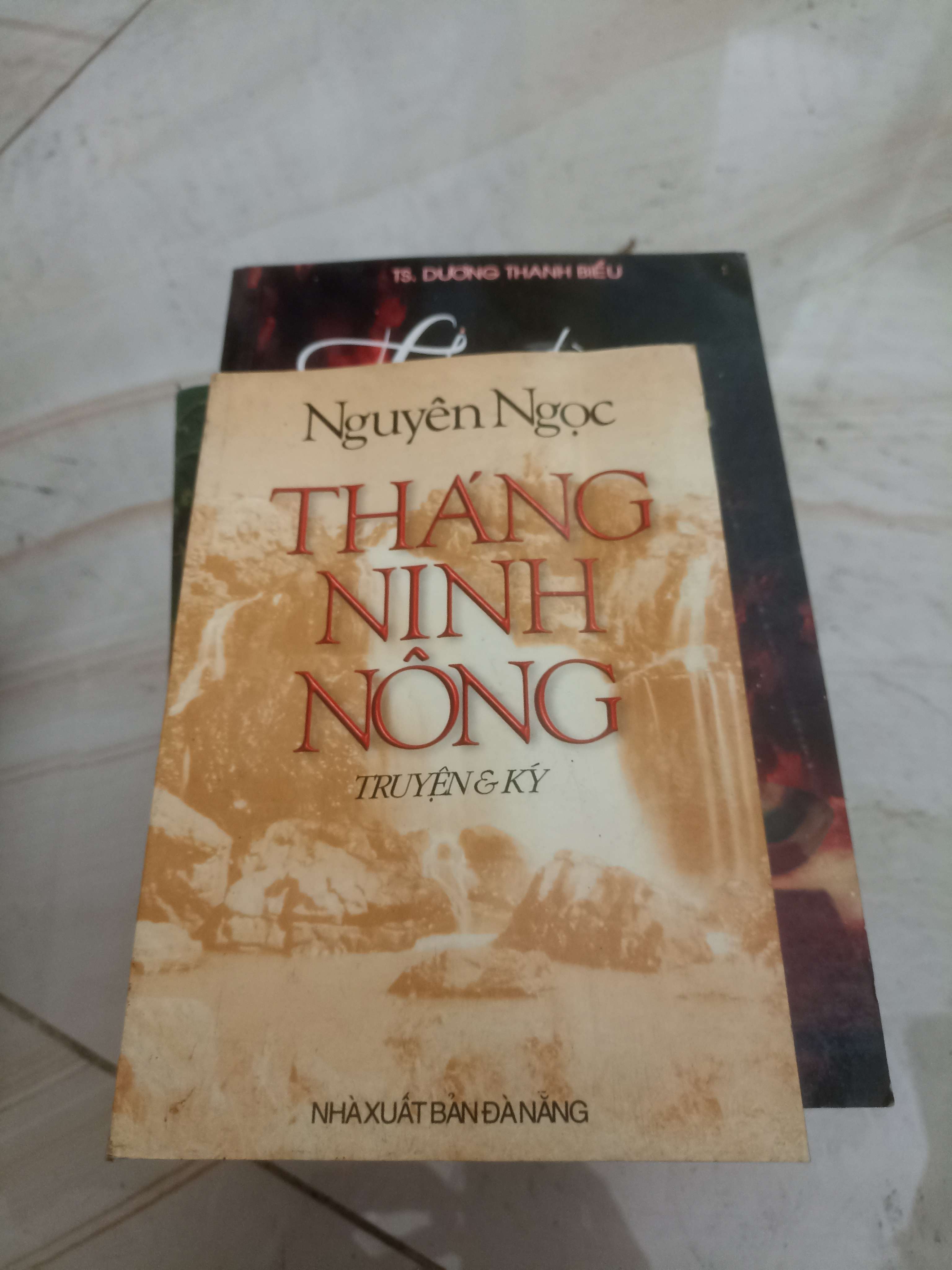Tháng Ninh Nông - Nguyên Ngọc (Văn học Việt Nam) VAVO