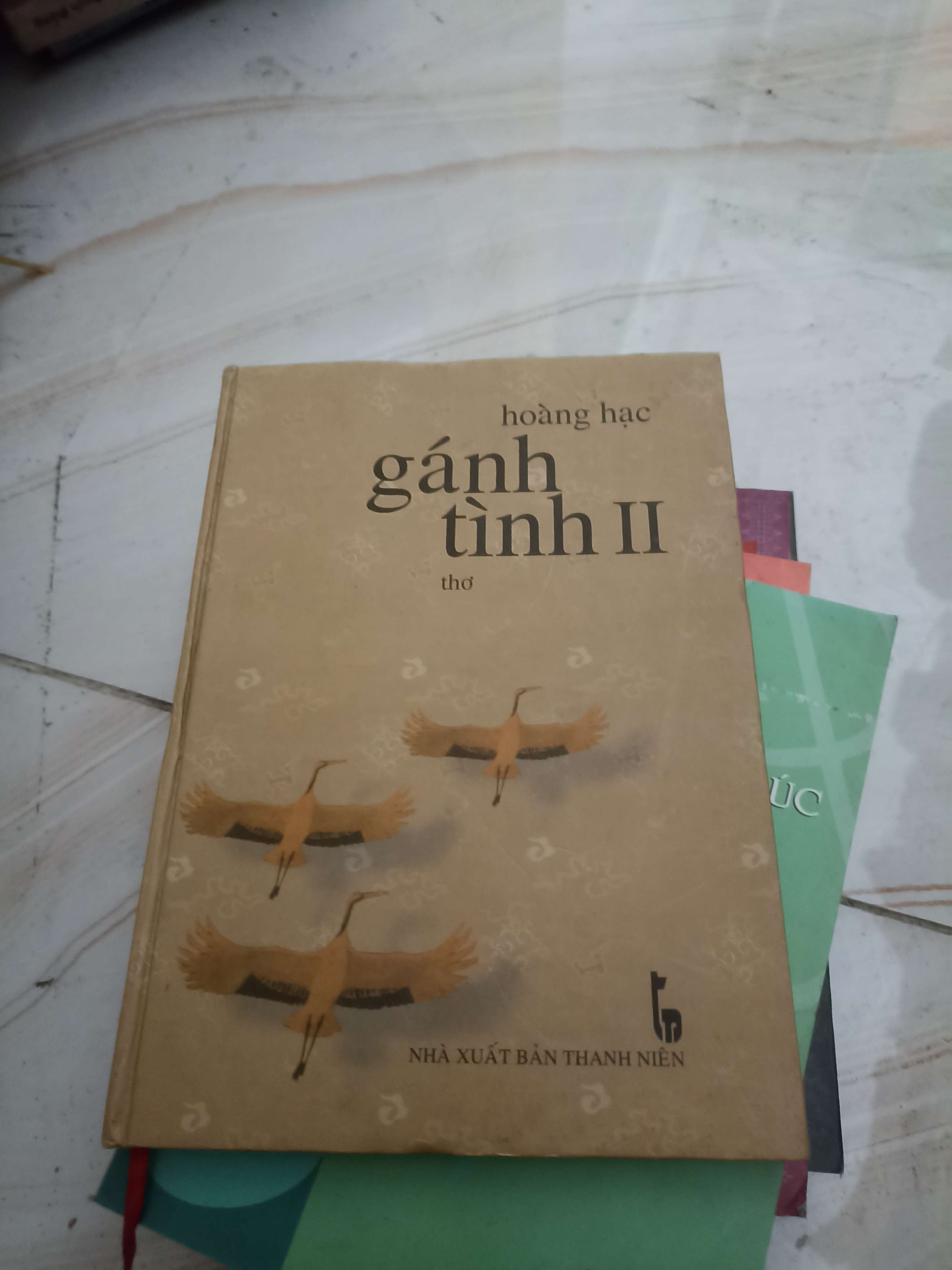 Gánh tình II - Hoàng Hạc (Văn học Việt Nam) VAVO