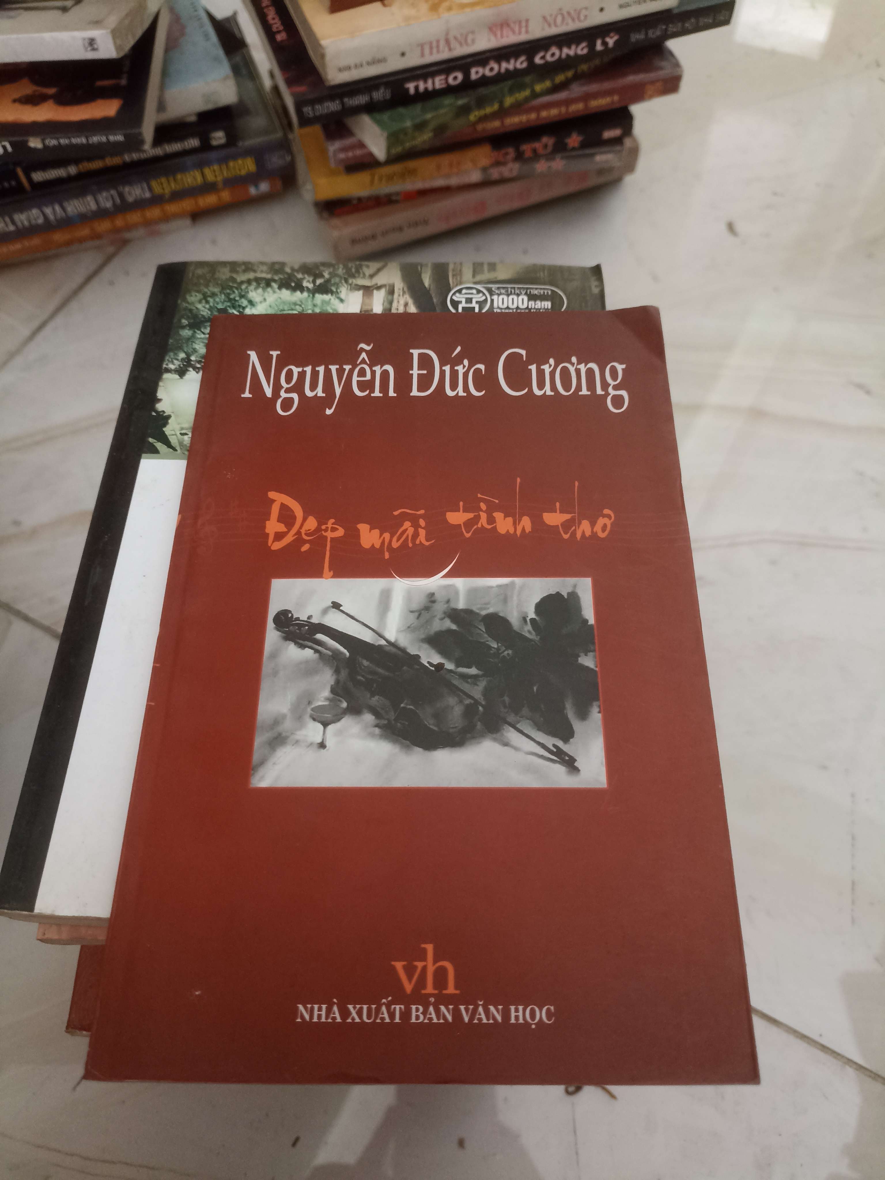 Đẹp mãi tình thơ - Nguyễn Đức Cương (Văn học Việt Nam) VAVO