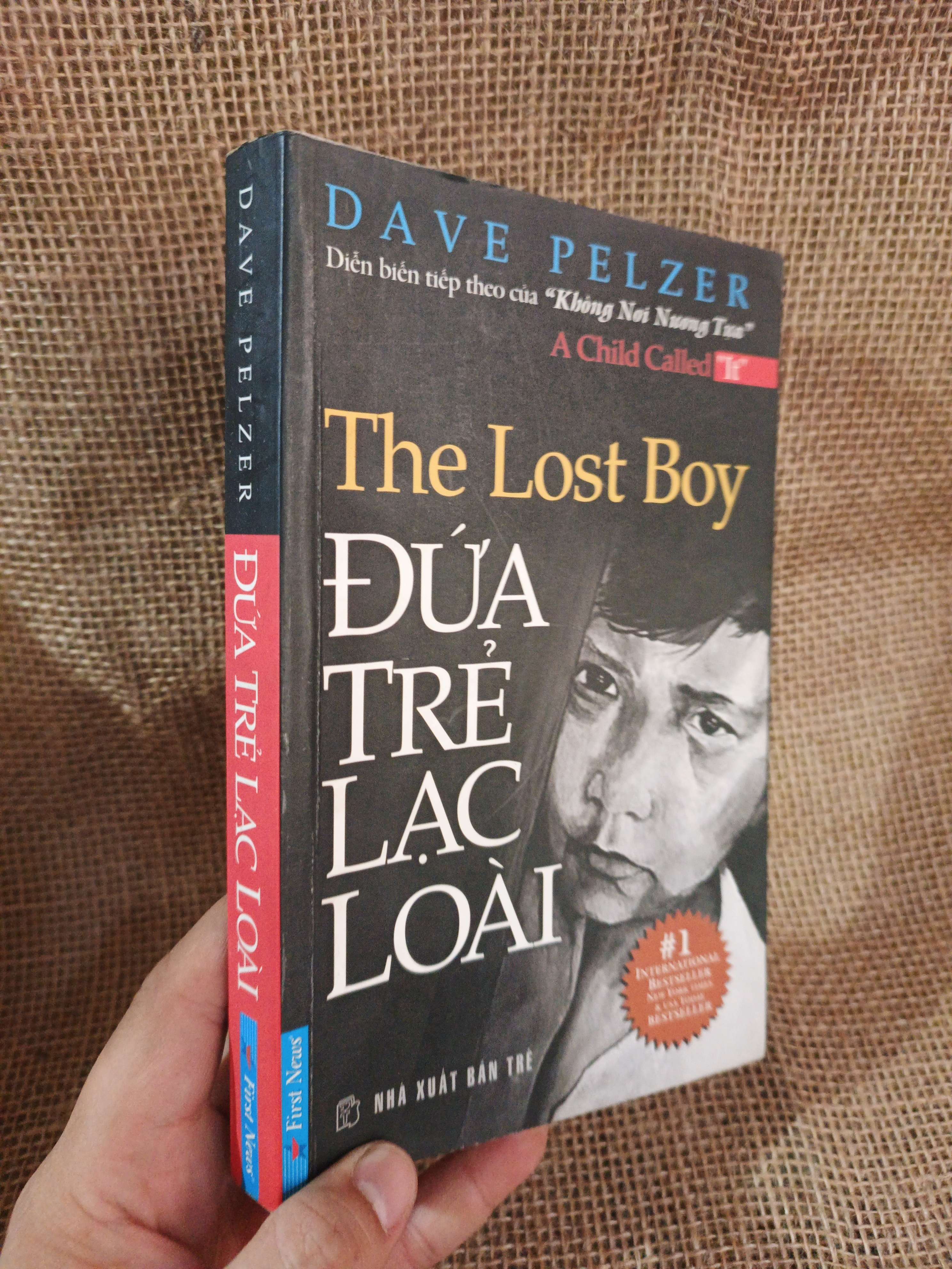 Đứa trẻ lạc loài - Dave Pelzer 2009 mới 80% ố (Văn học nước ngoài) HLSC2404 (NSX)
