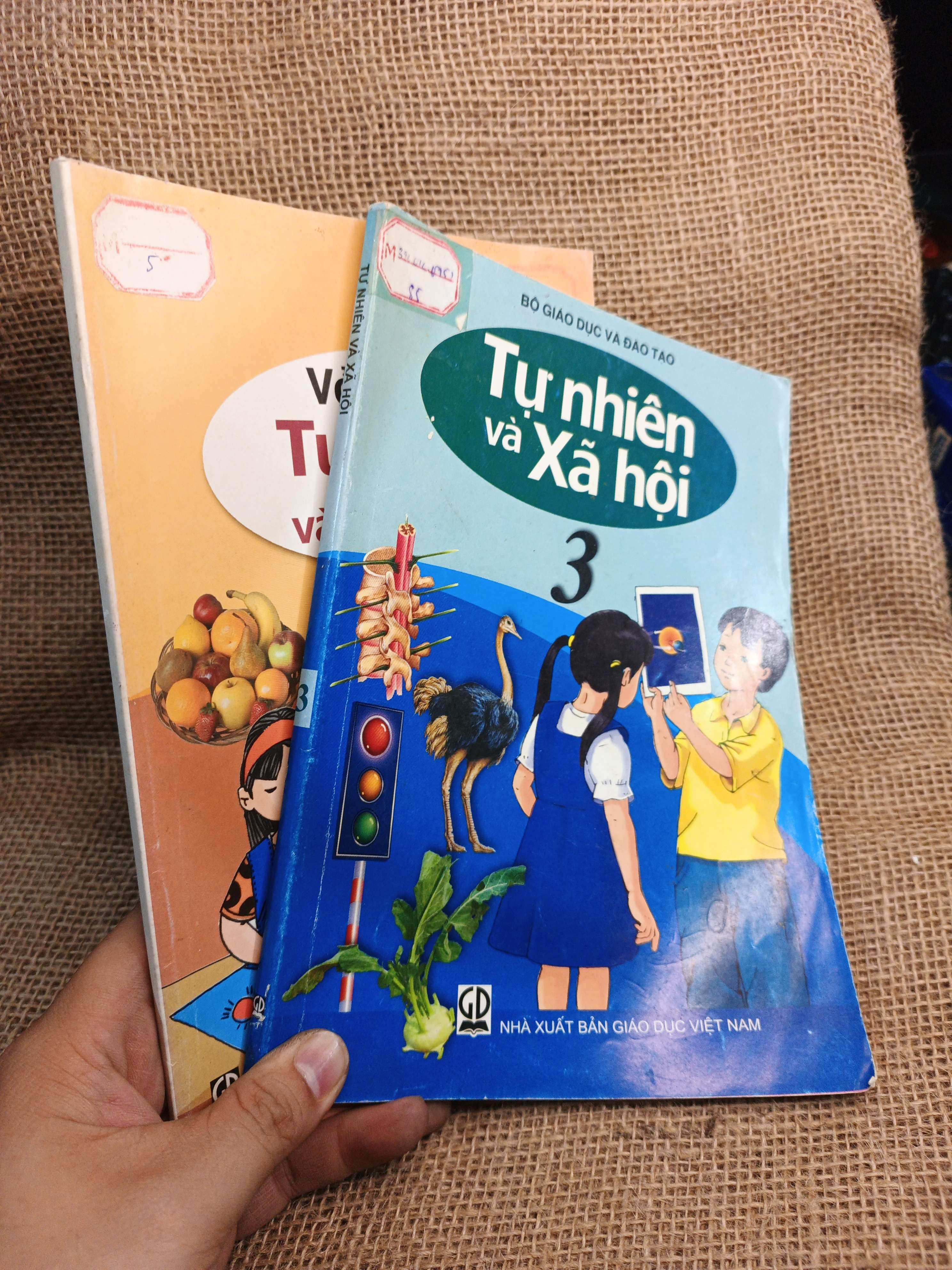 Combo Tự nhiên và Xã hội và Vở bài tập Tự Nhiên và Xã Hội 3 2010 mới 80% (Sách giáo khoa - giáo trình) HCM060526