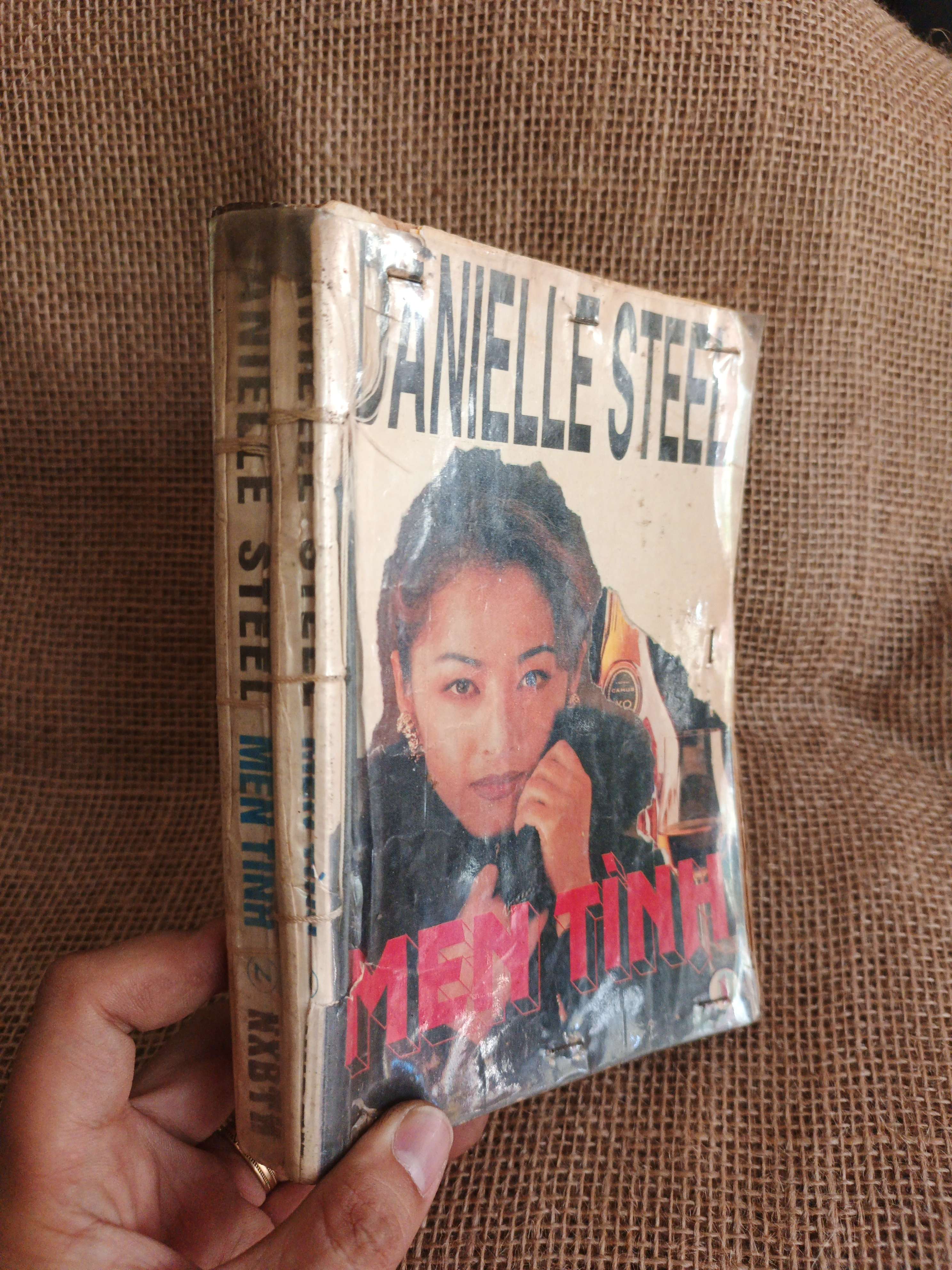 Men tình - Janielle Steel 1994 mới 80% (Sách văn học) HCM060526 (NSX)